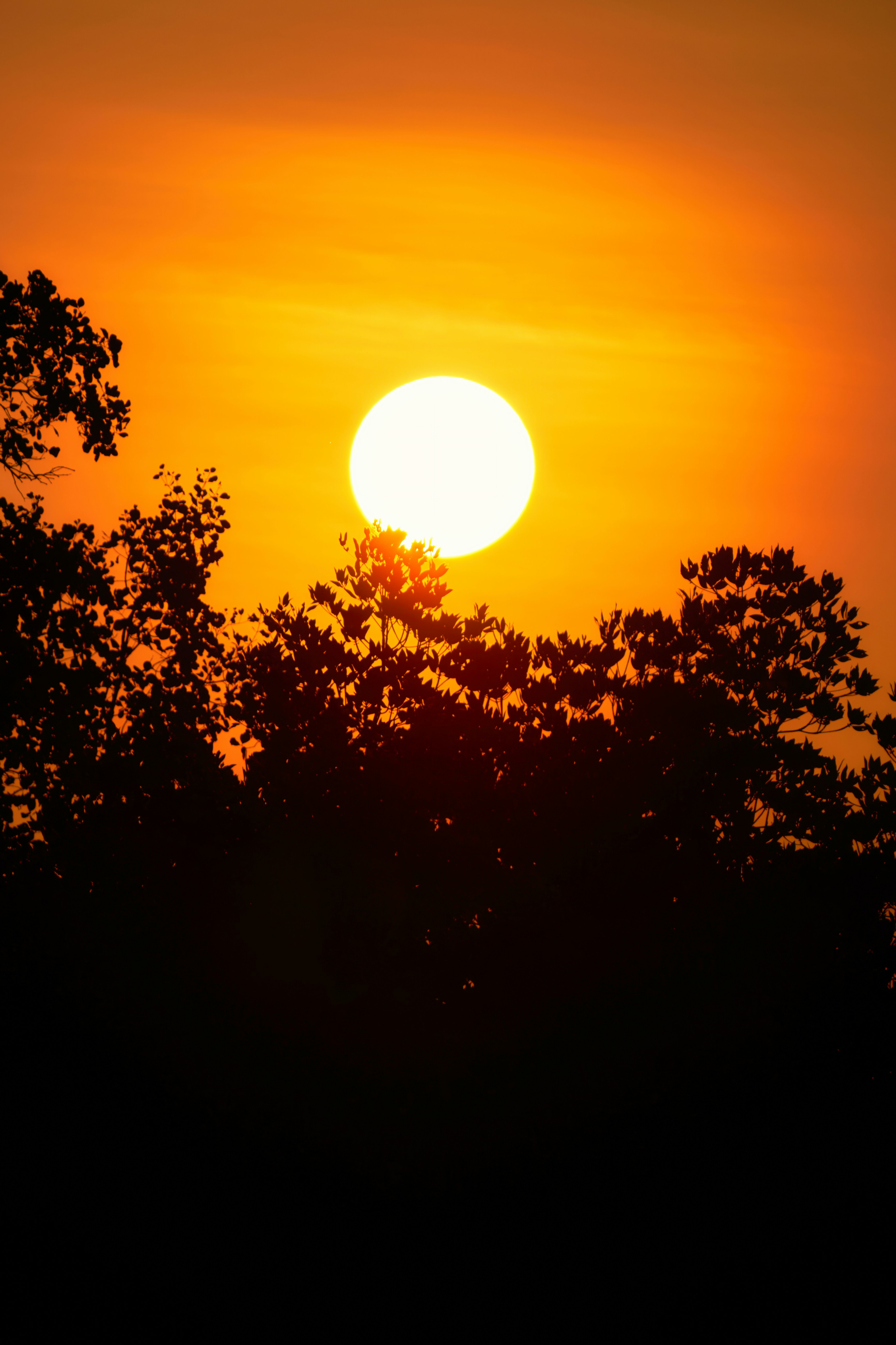 Photo by setsj