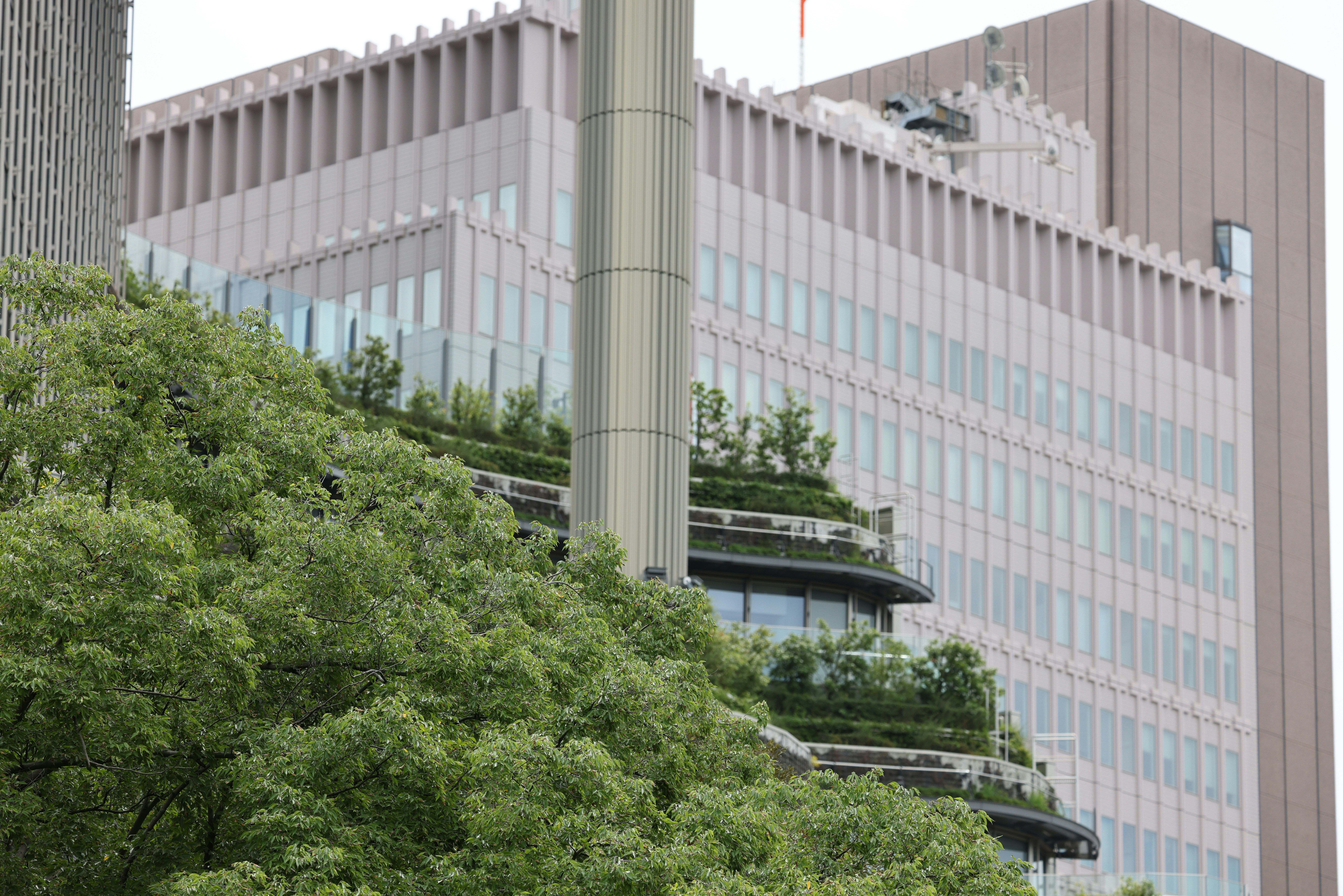 LinkedIn background for Sustainability Consultants — photo by naoaki inada