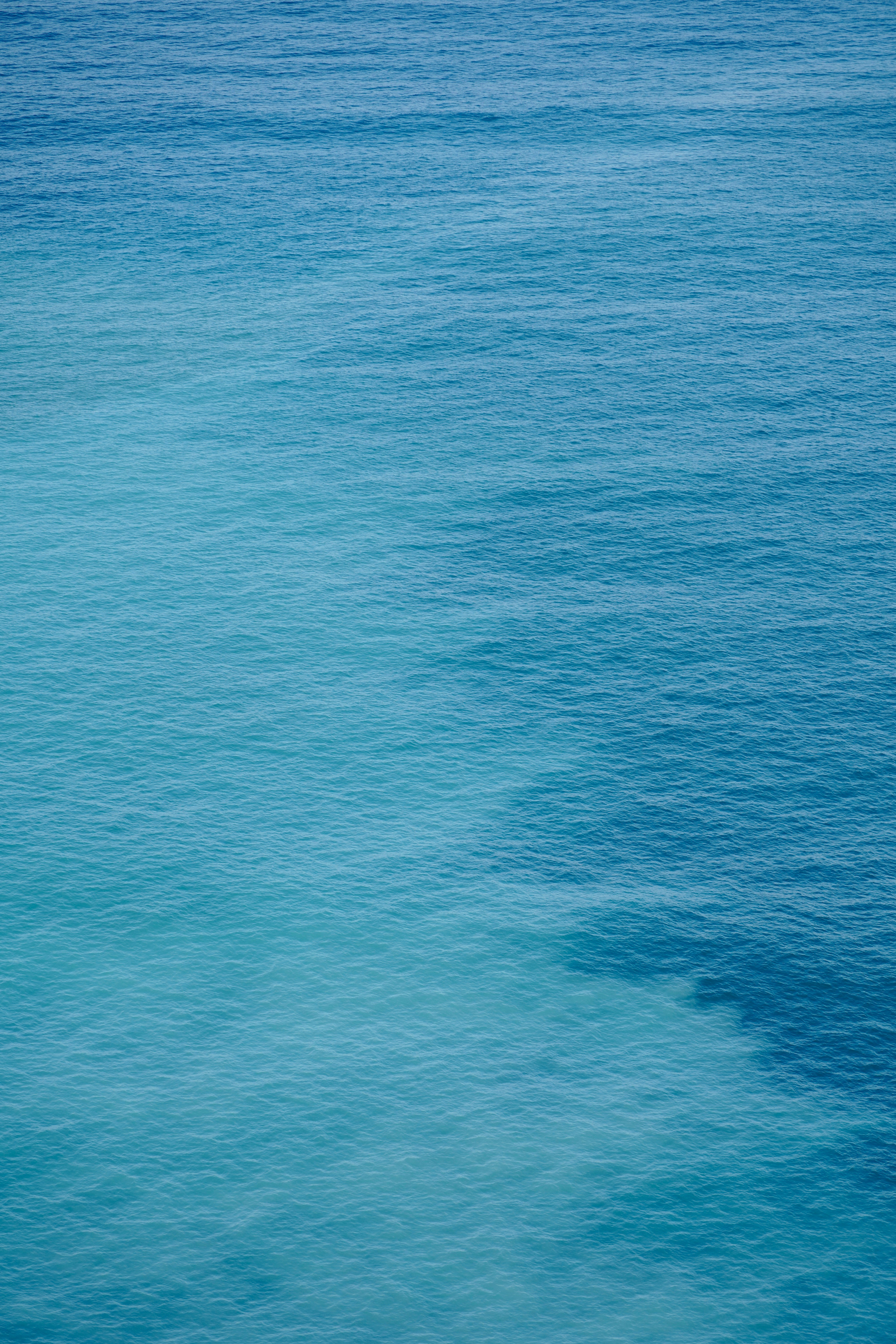 calm blue wallpaper, wallpaper, Sumeng: Penyebab, Gejala, dan Cara Mengatasinya 4