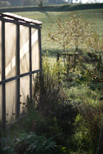 Sunlight streams through a greenhouse in a garden.