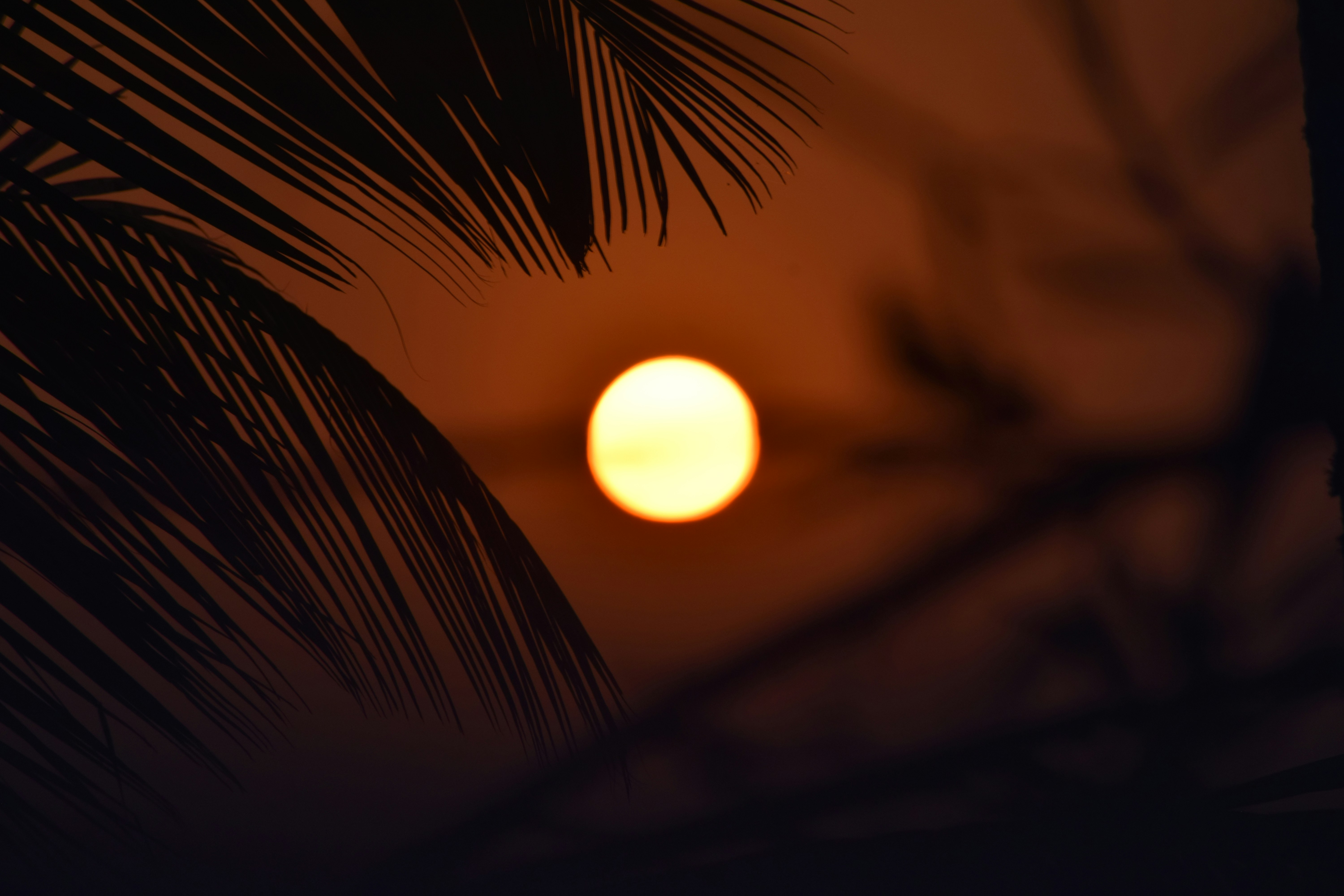 Photo by jyotiranjan_sharma