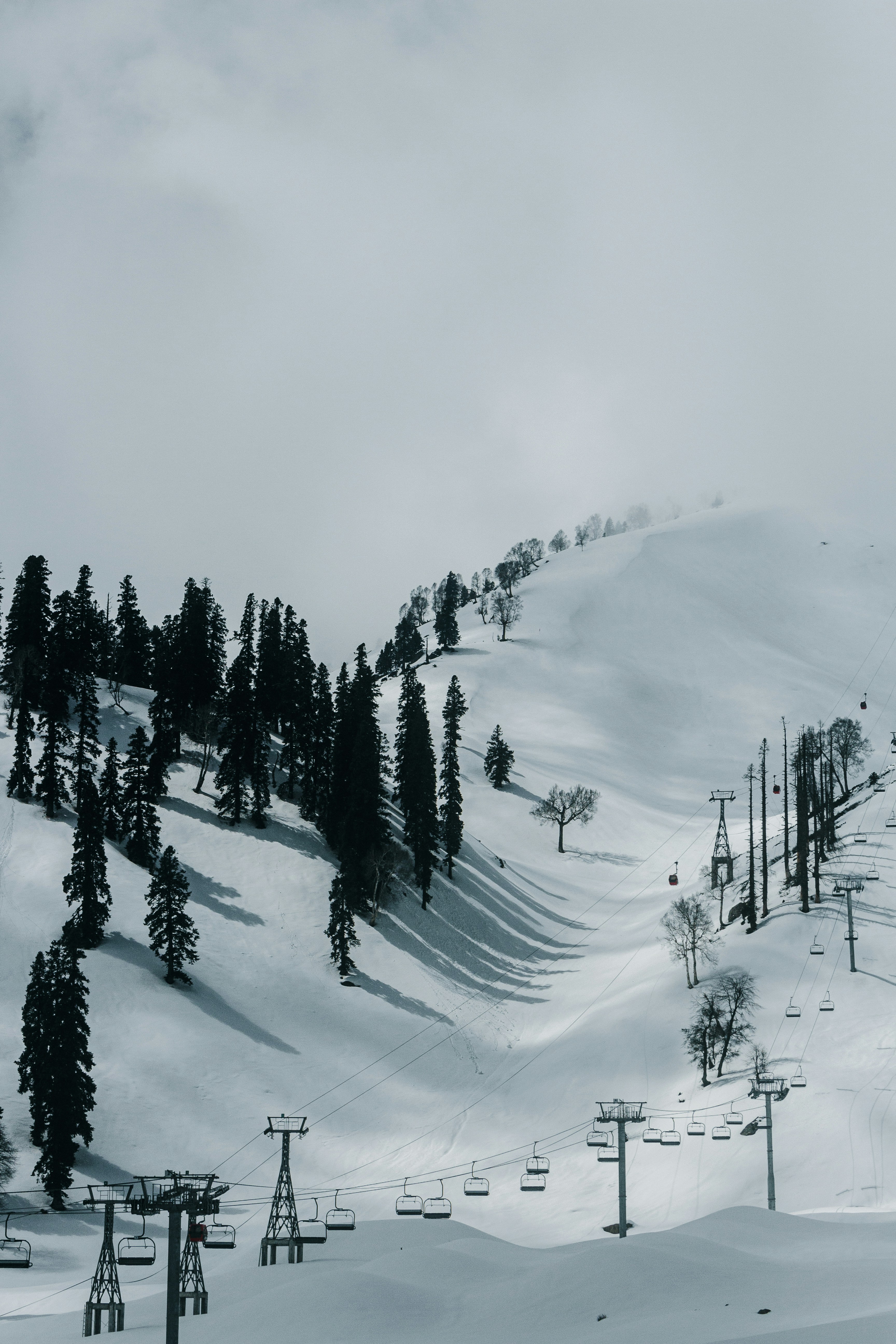 Snowy mountain slope with ski lifts and pine trees.