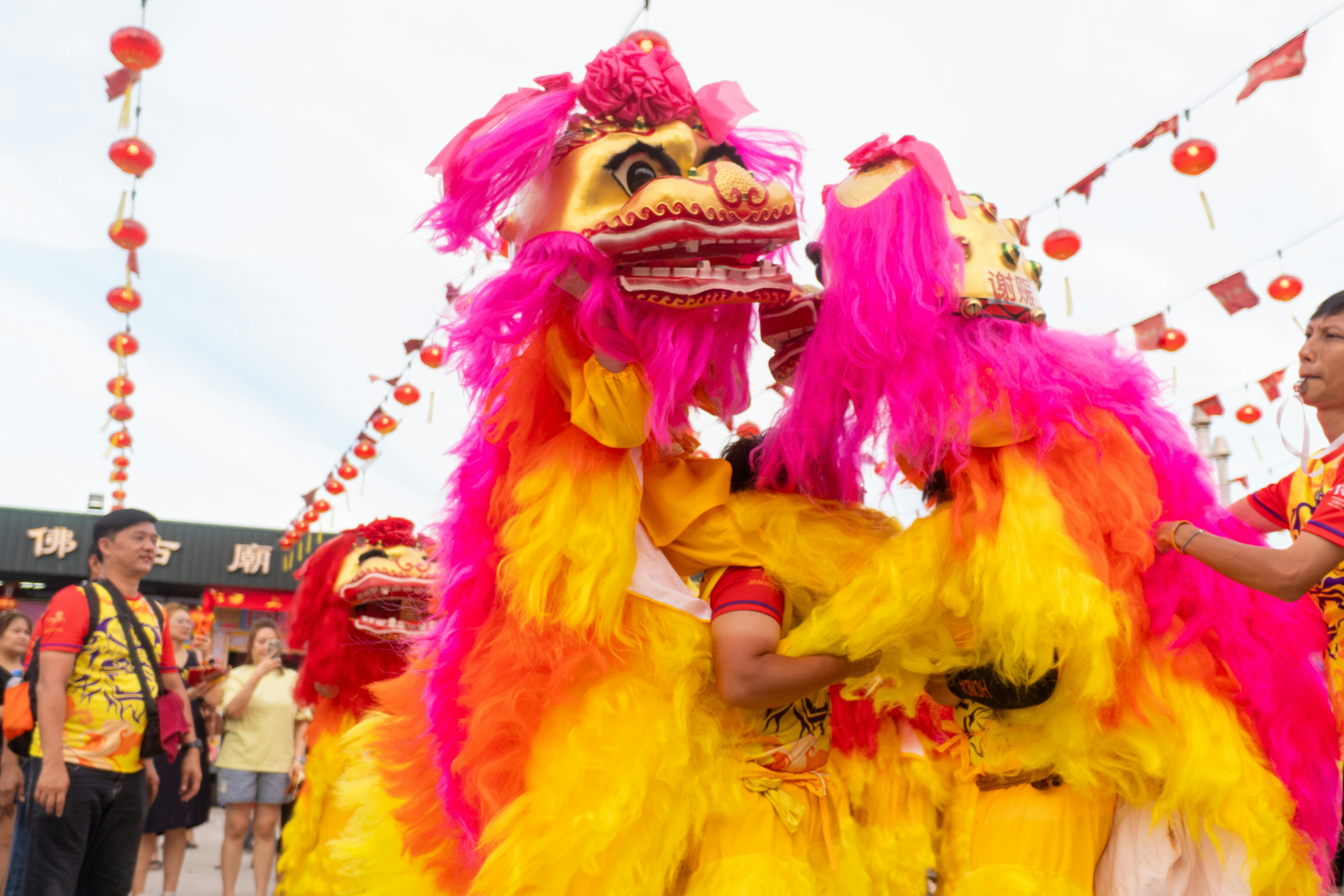 Performers in colorful lion dance costumes celebrate