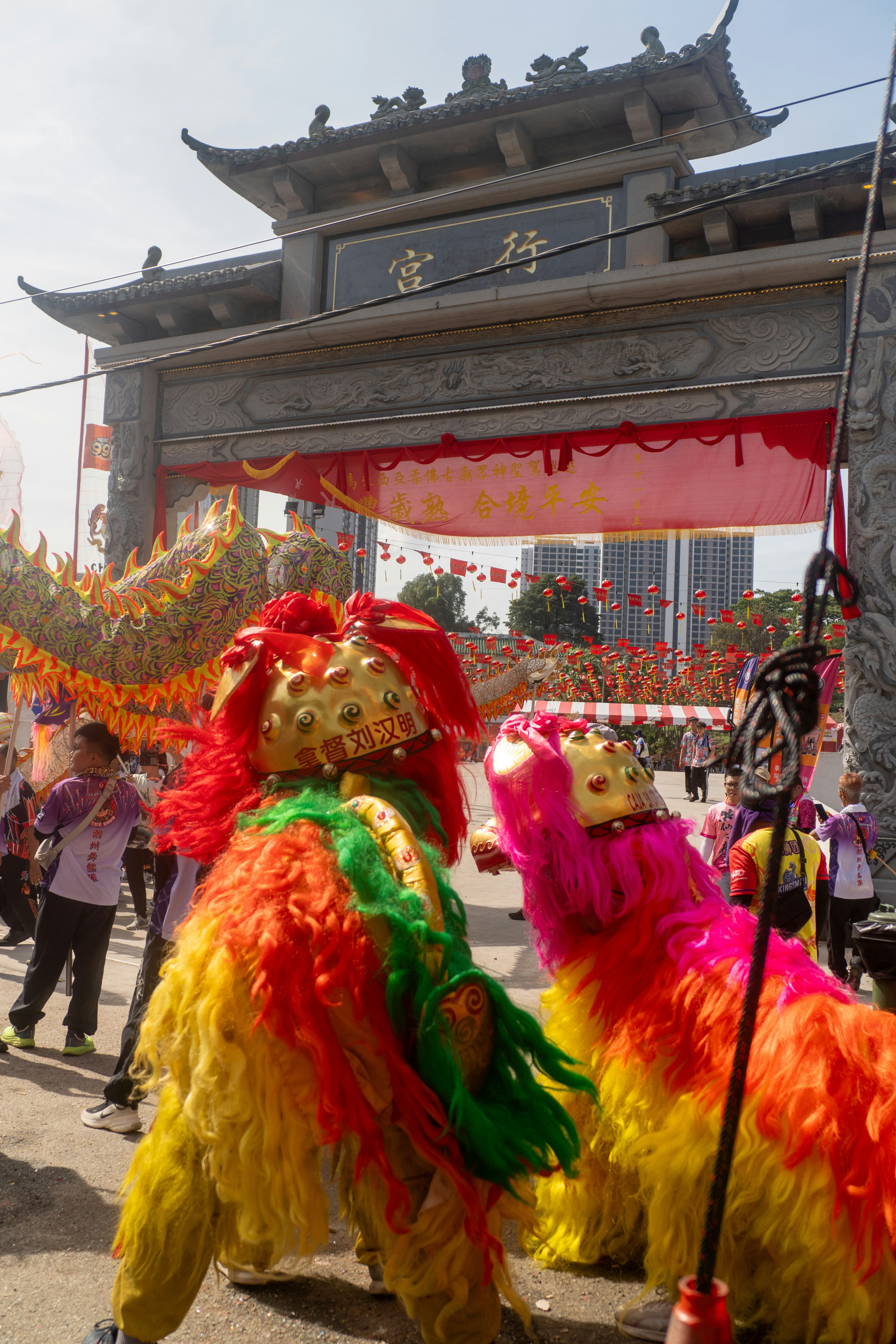 Colorful lion dancers perform in front of a traditional gate