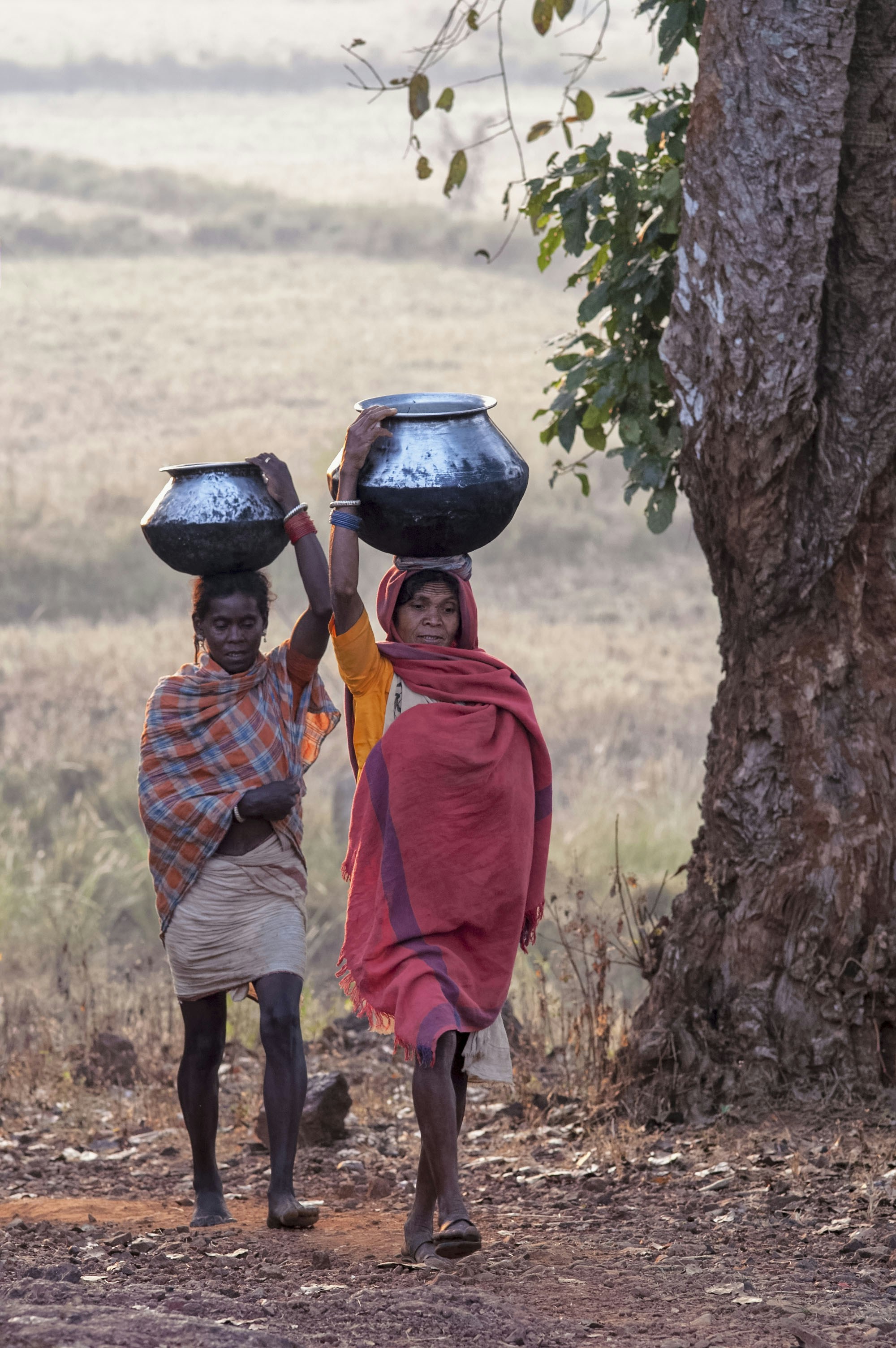 Two women carry pots on their heads