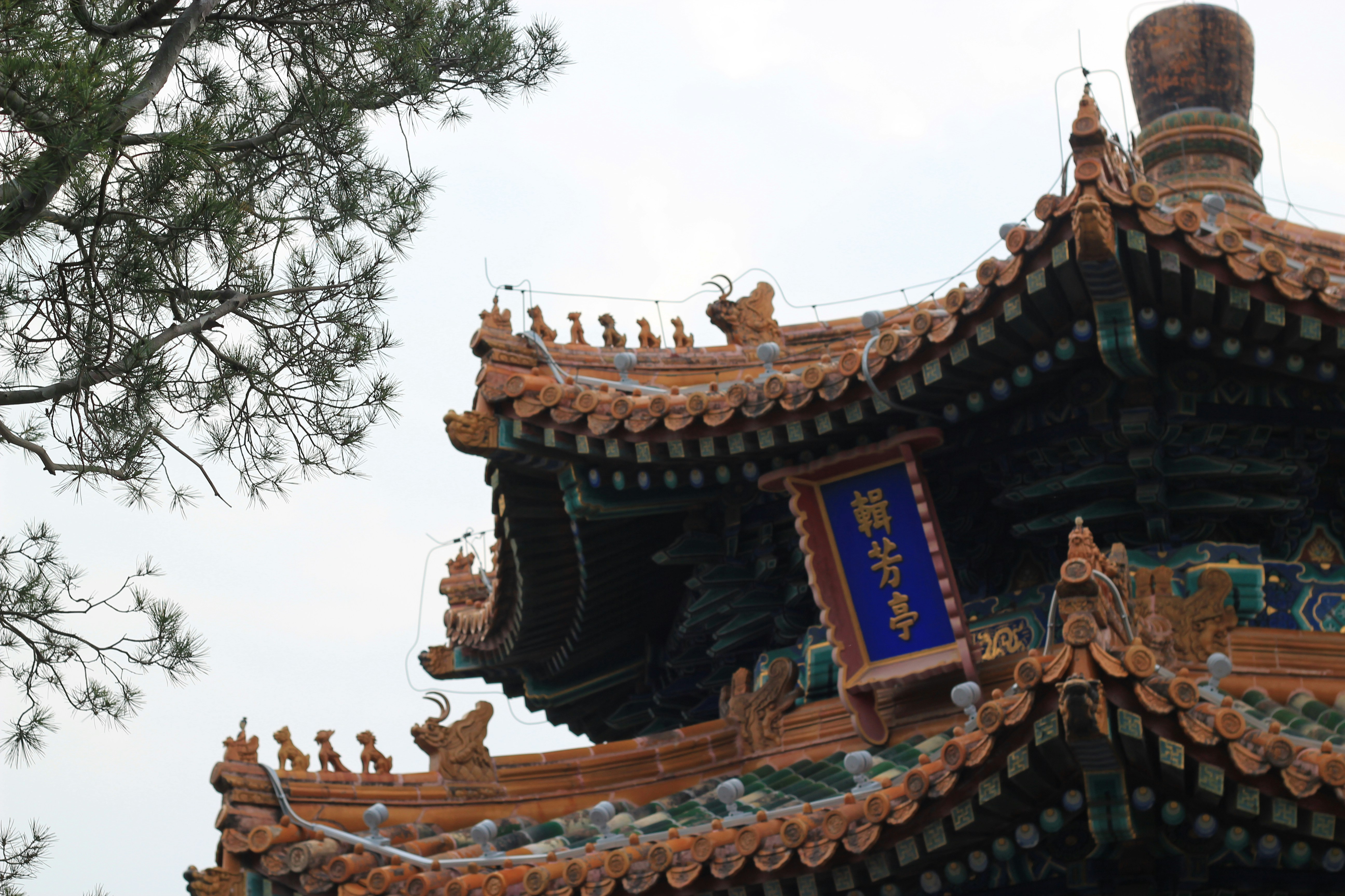 Photo by jindujiong