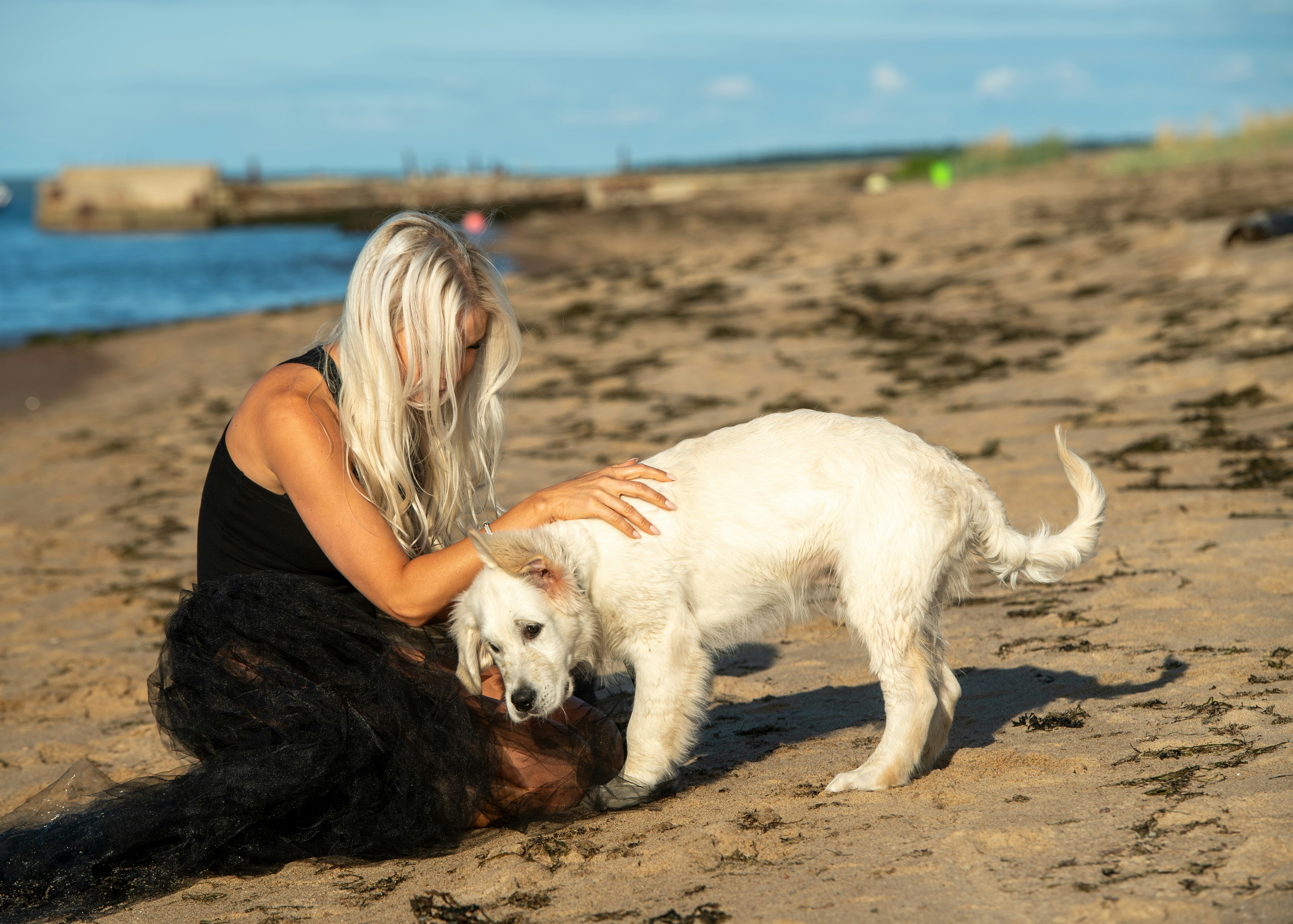 Woman petting a white dog on a sandy beach.