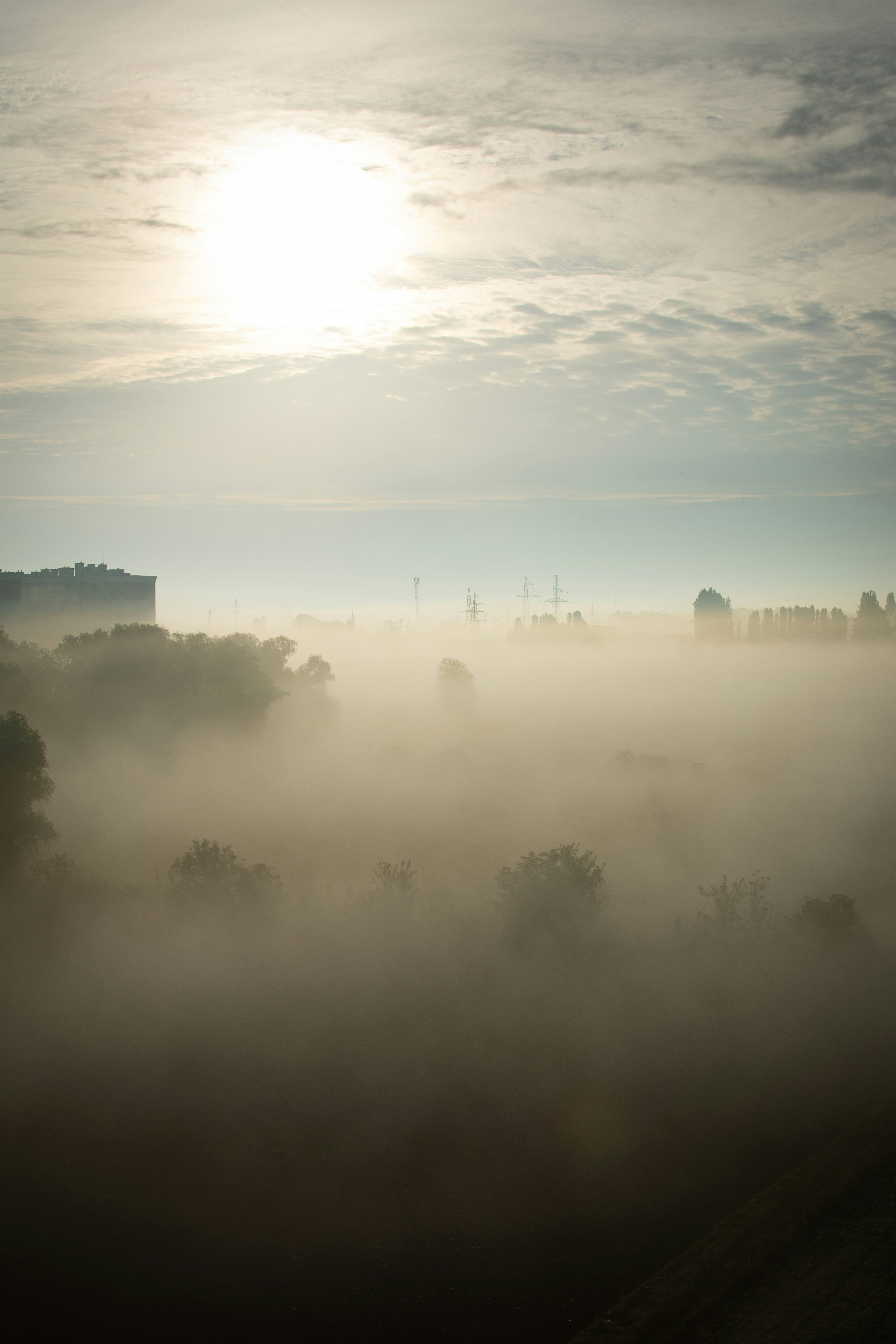 Photo by ilko725