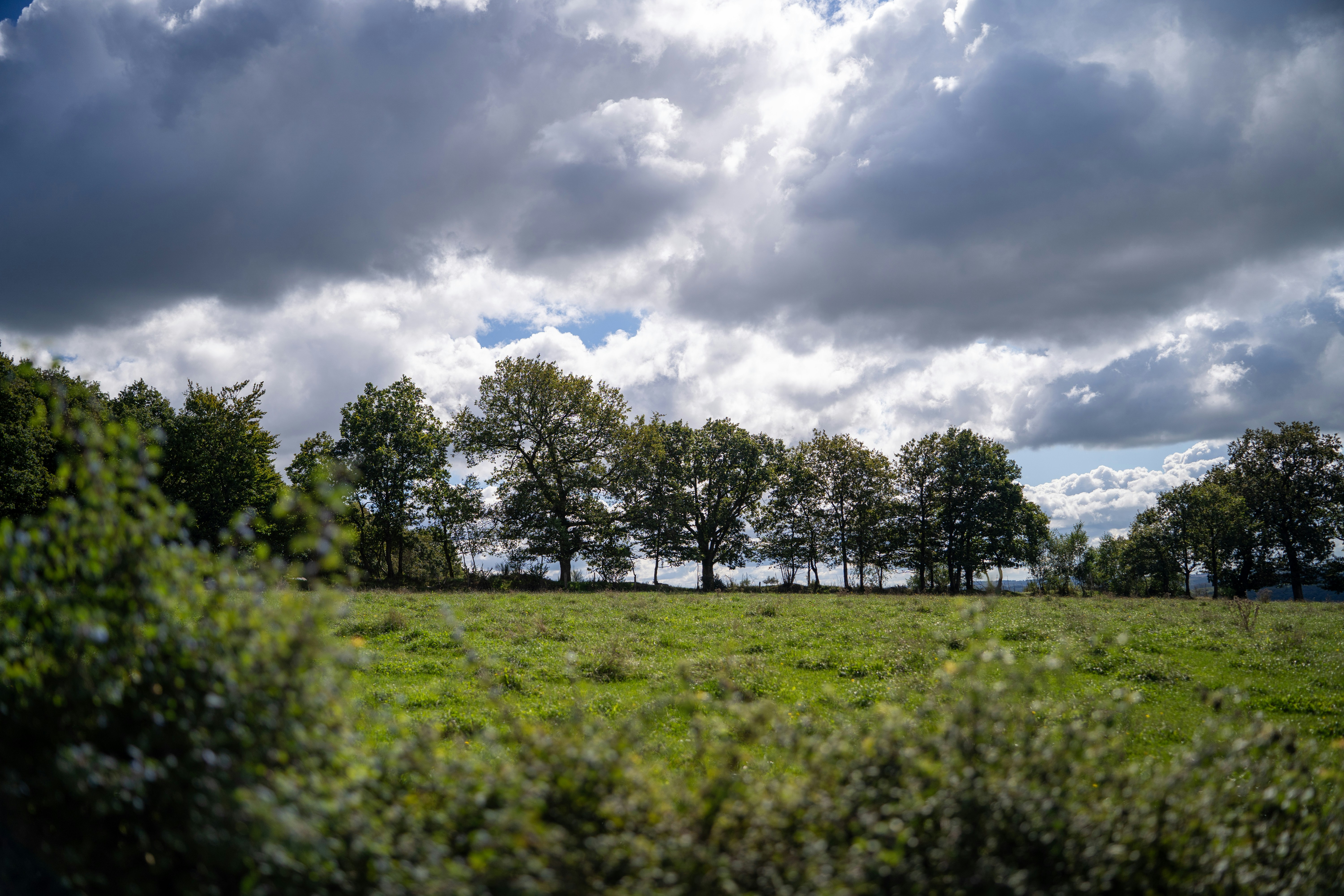 Photo by michelstock