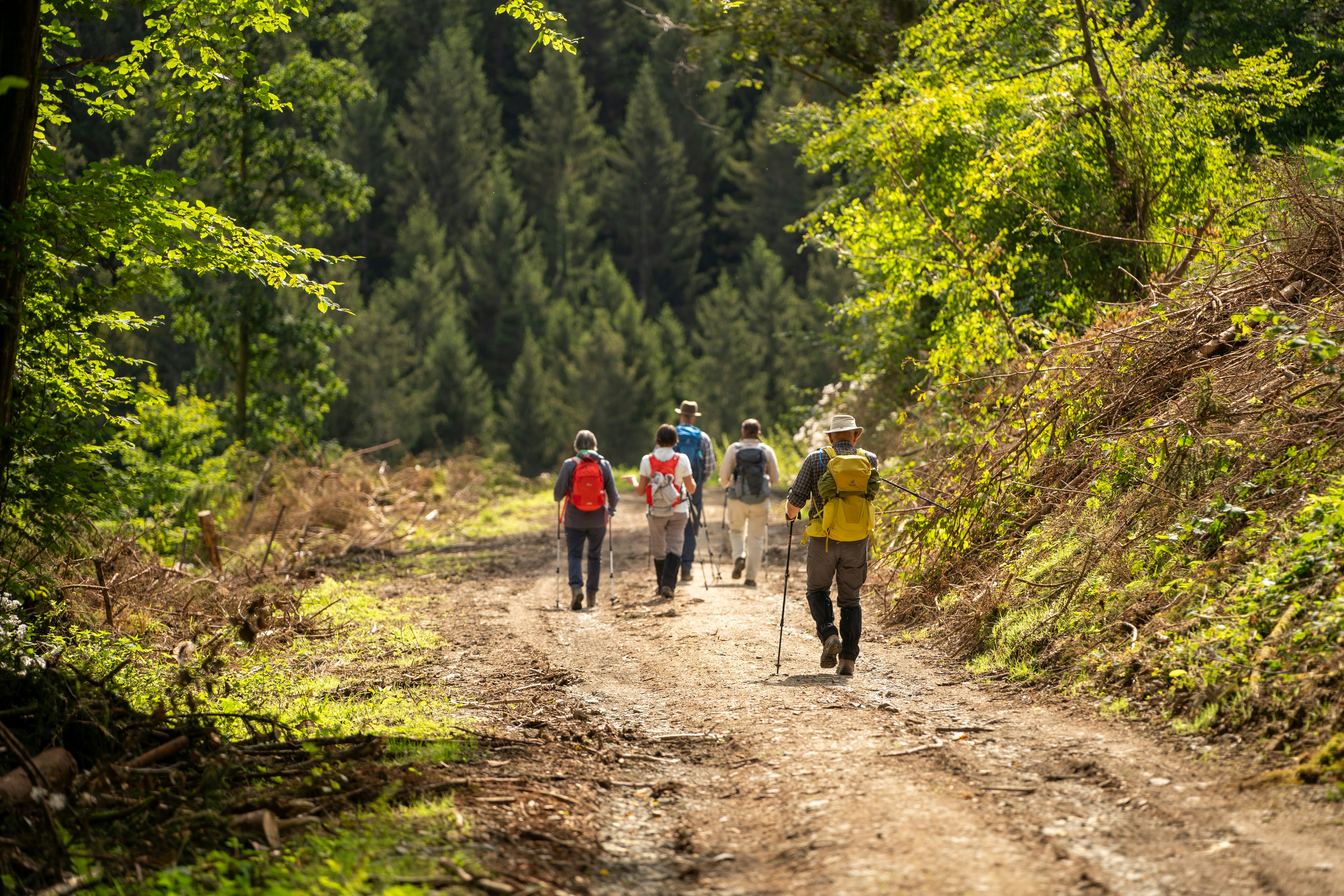 fitness hiking