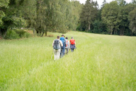 Group of hikers walking through a grassy field