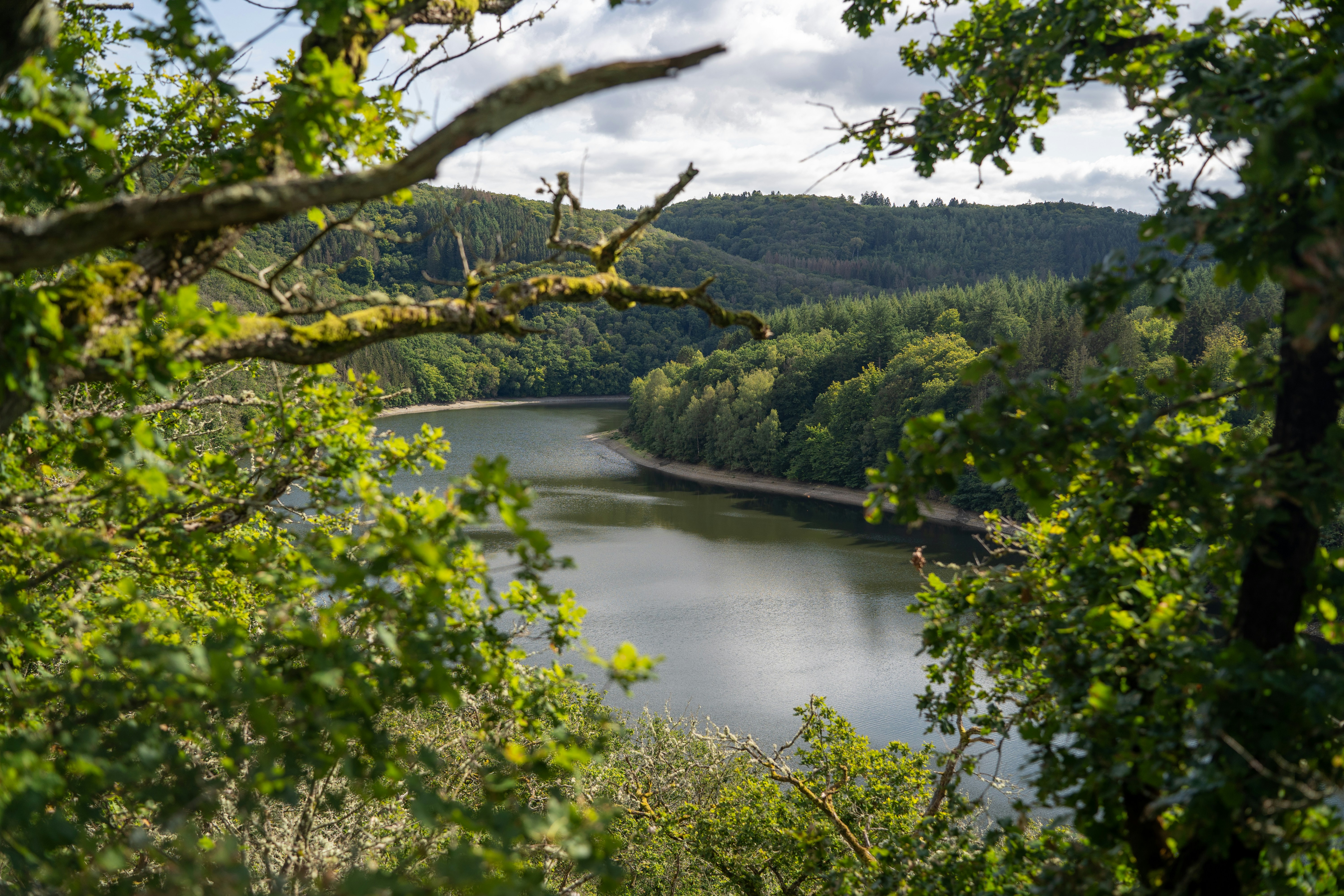 Ein ruhiger See, umgeben von üppig grünen Bäumen und Hügeln.