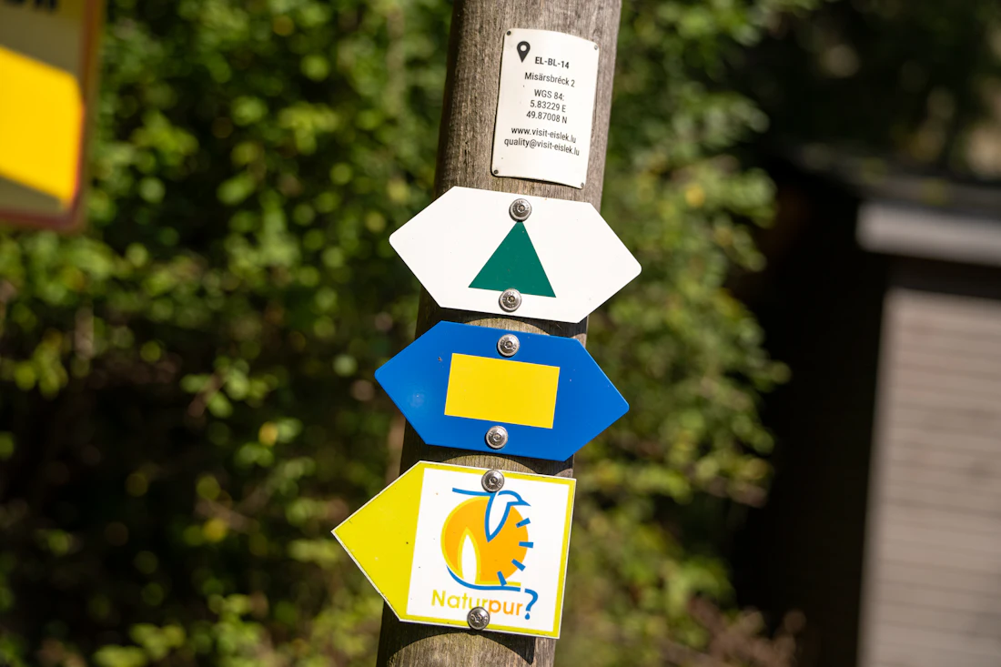 Panneaux de sentier sur un poteau en forêt