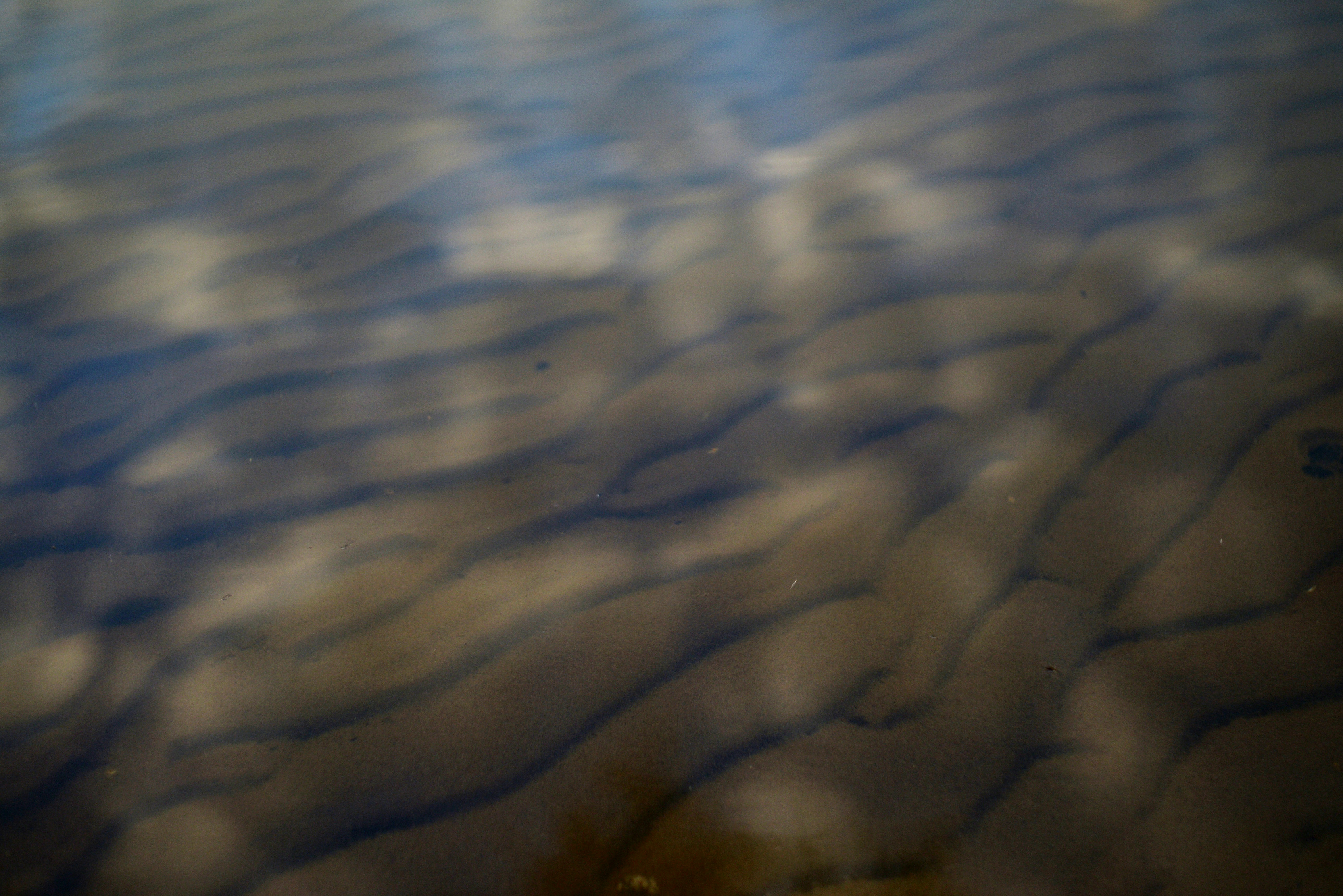 澄んだ水の下、砂地の海底に広がる波紋