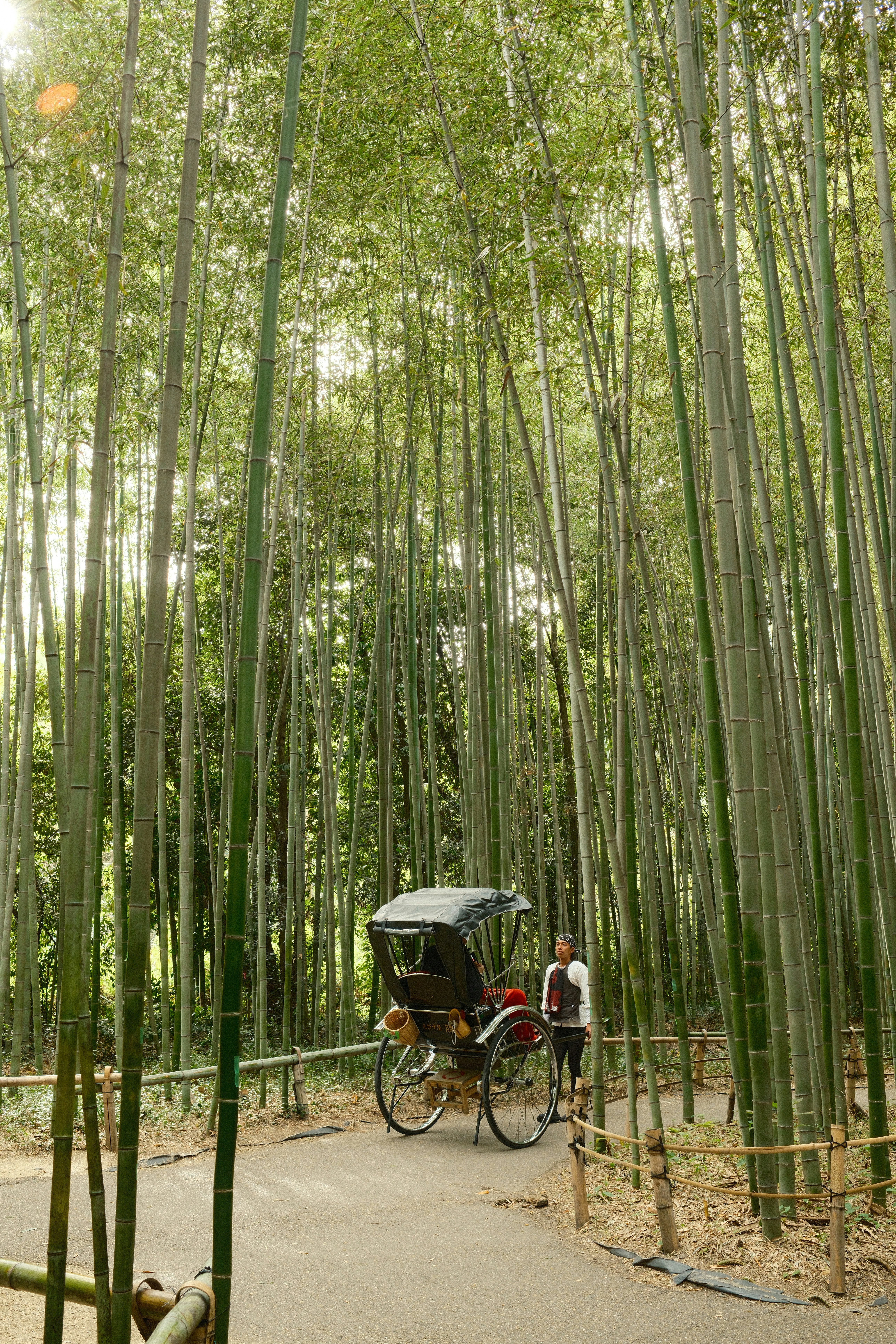 Rickshaw driver stands by a rickshaw in a bamboo forest.