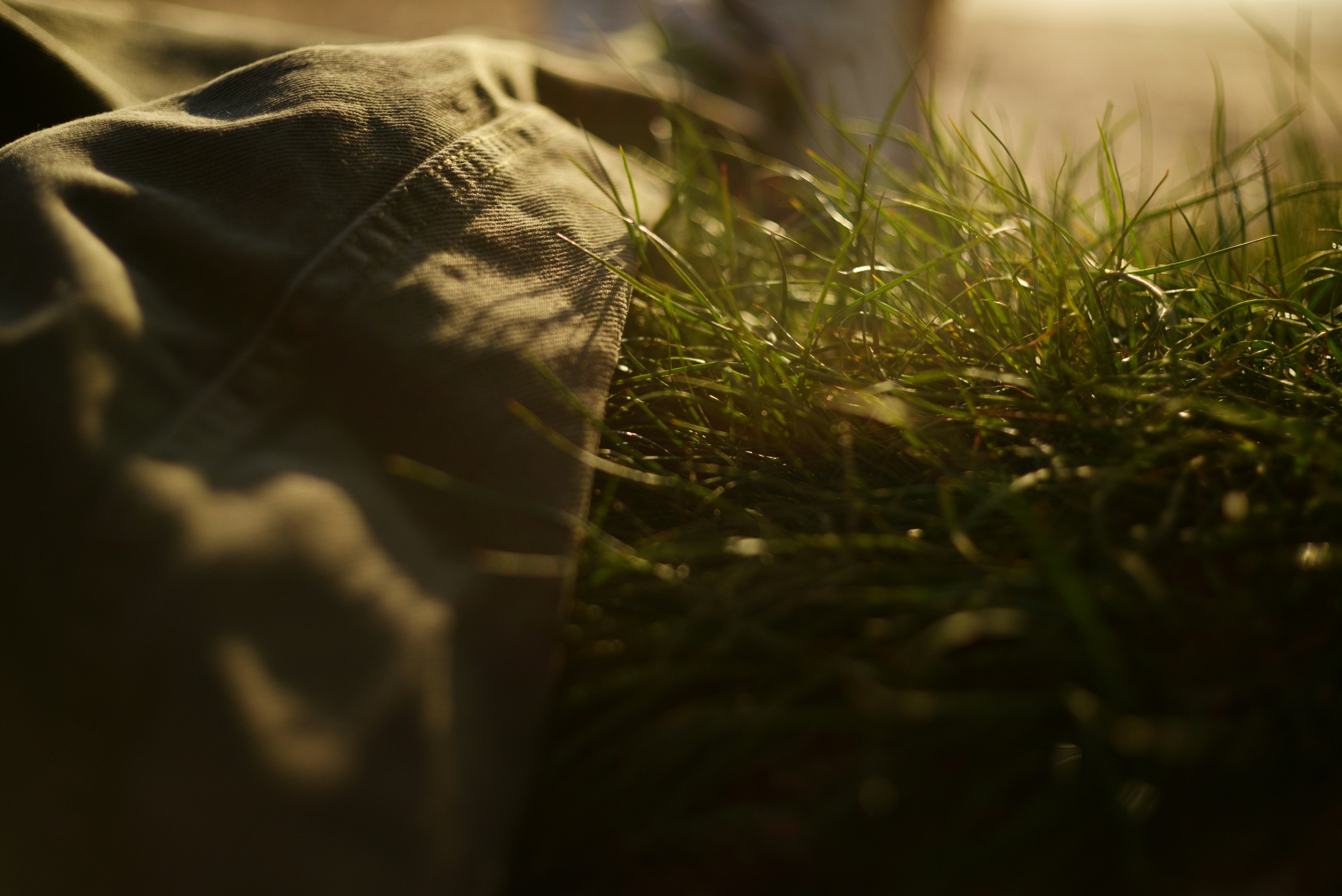 露に覆われた草と布のクローズアップ