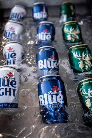 Labatt blue and moosehead beer cans chilling in ice