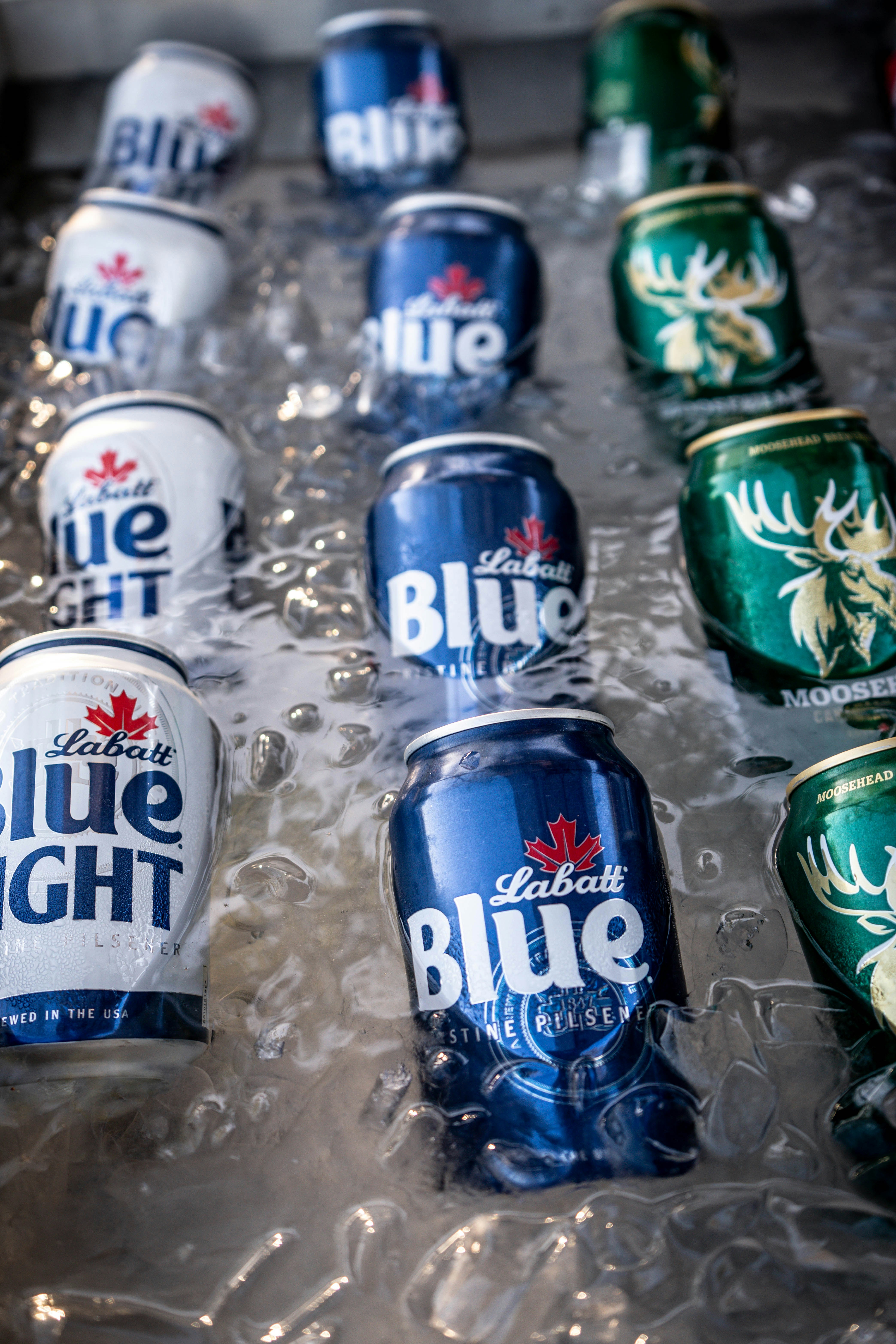 Labatt blue and blue light cans chilling in ice