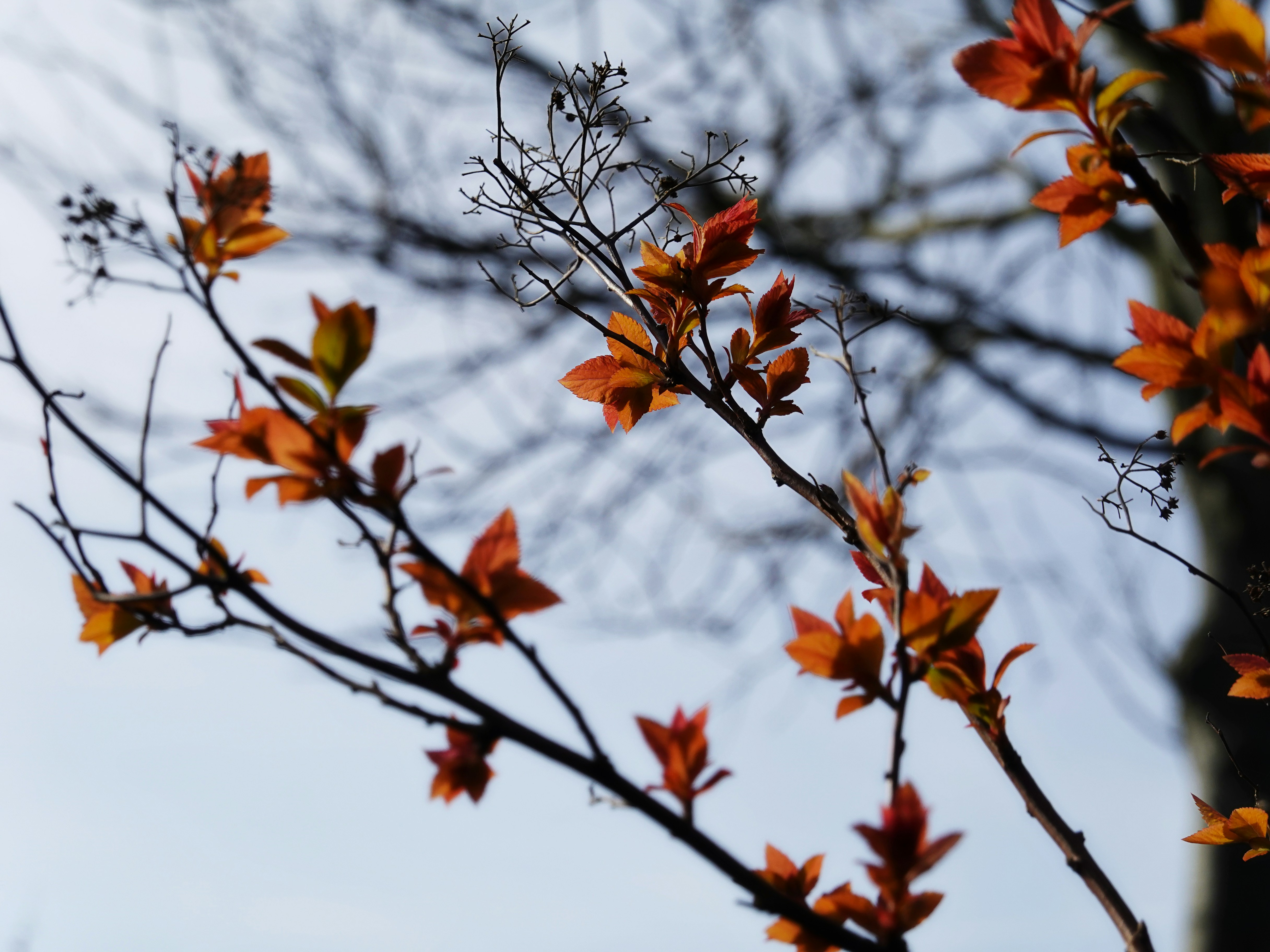 Photo by thecurlyone