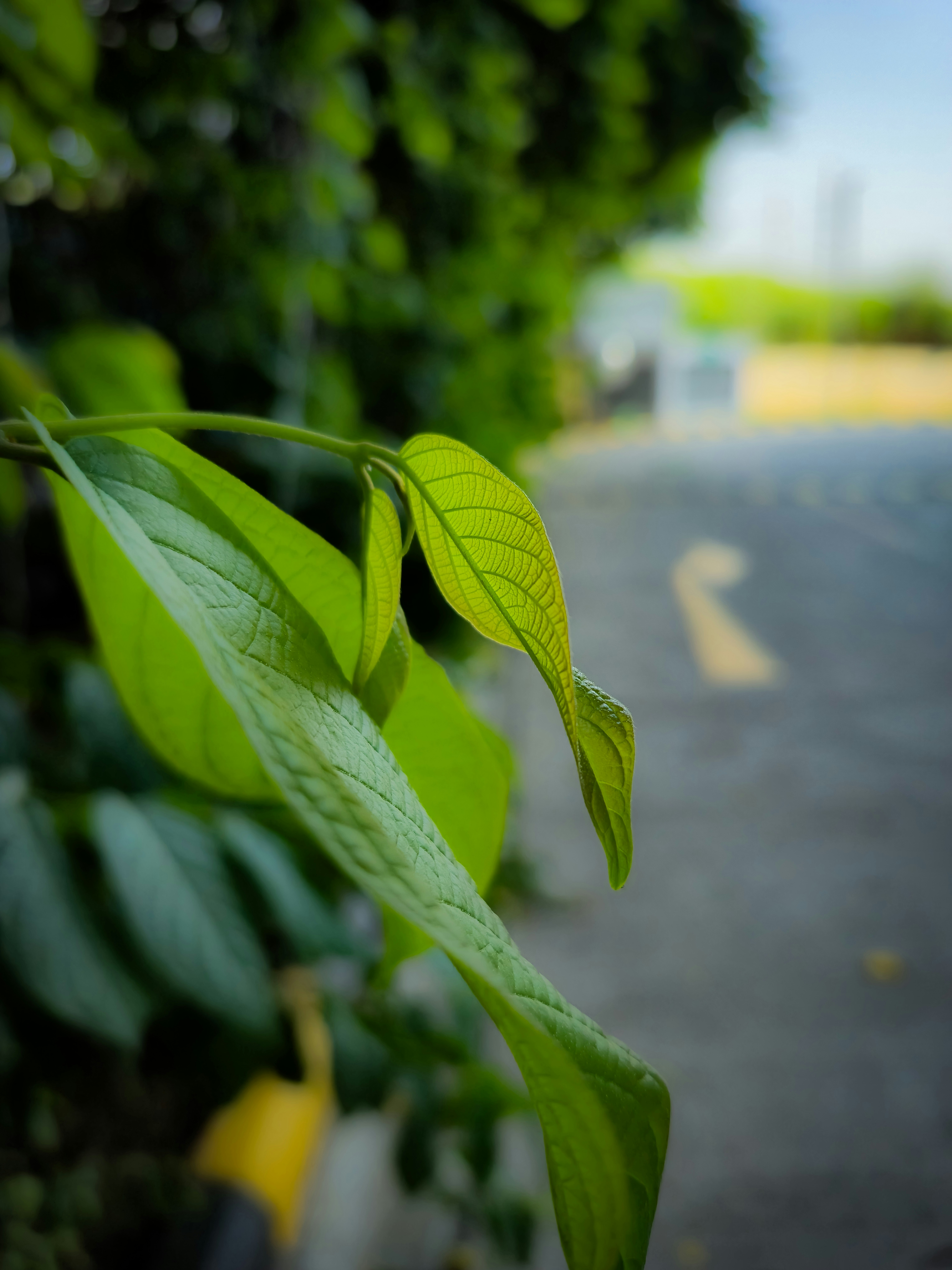 What to Leave Standing Through Winter