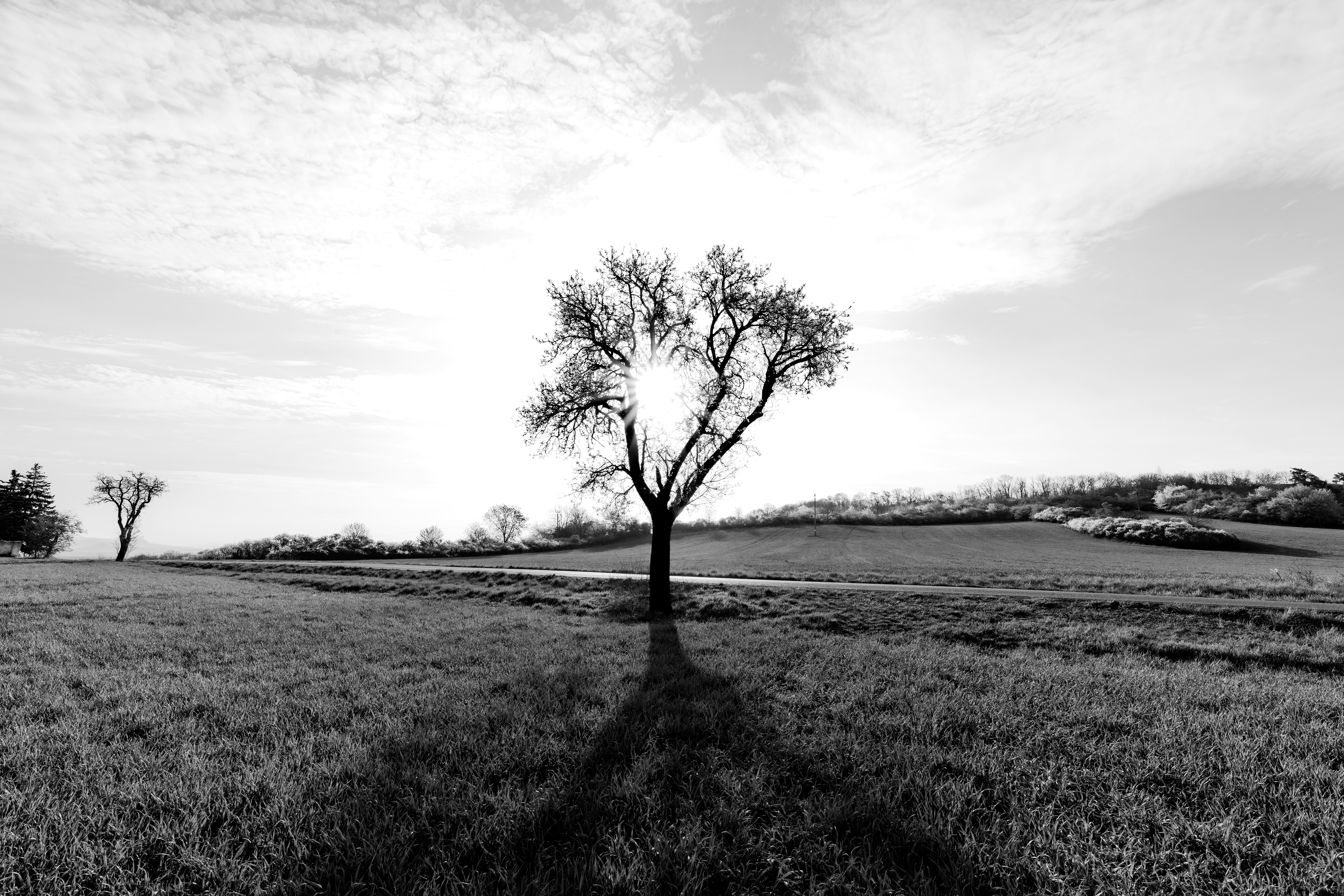 Photo by kormoran80