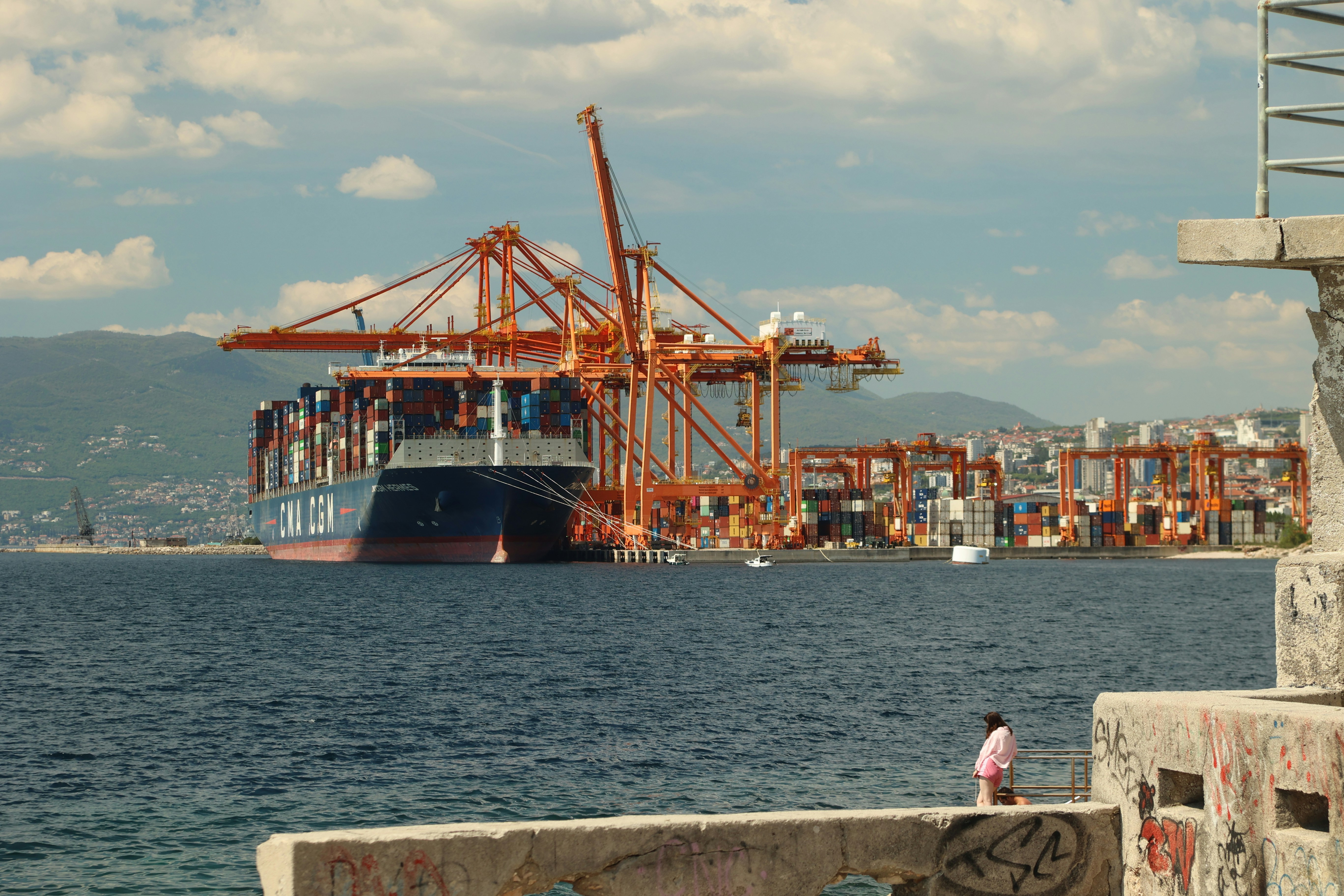 Large cargo ship docked at a busy port with cranes.