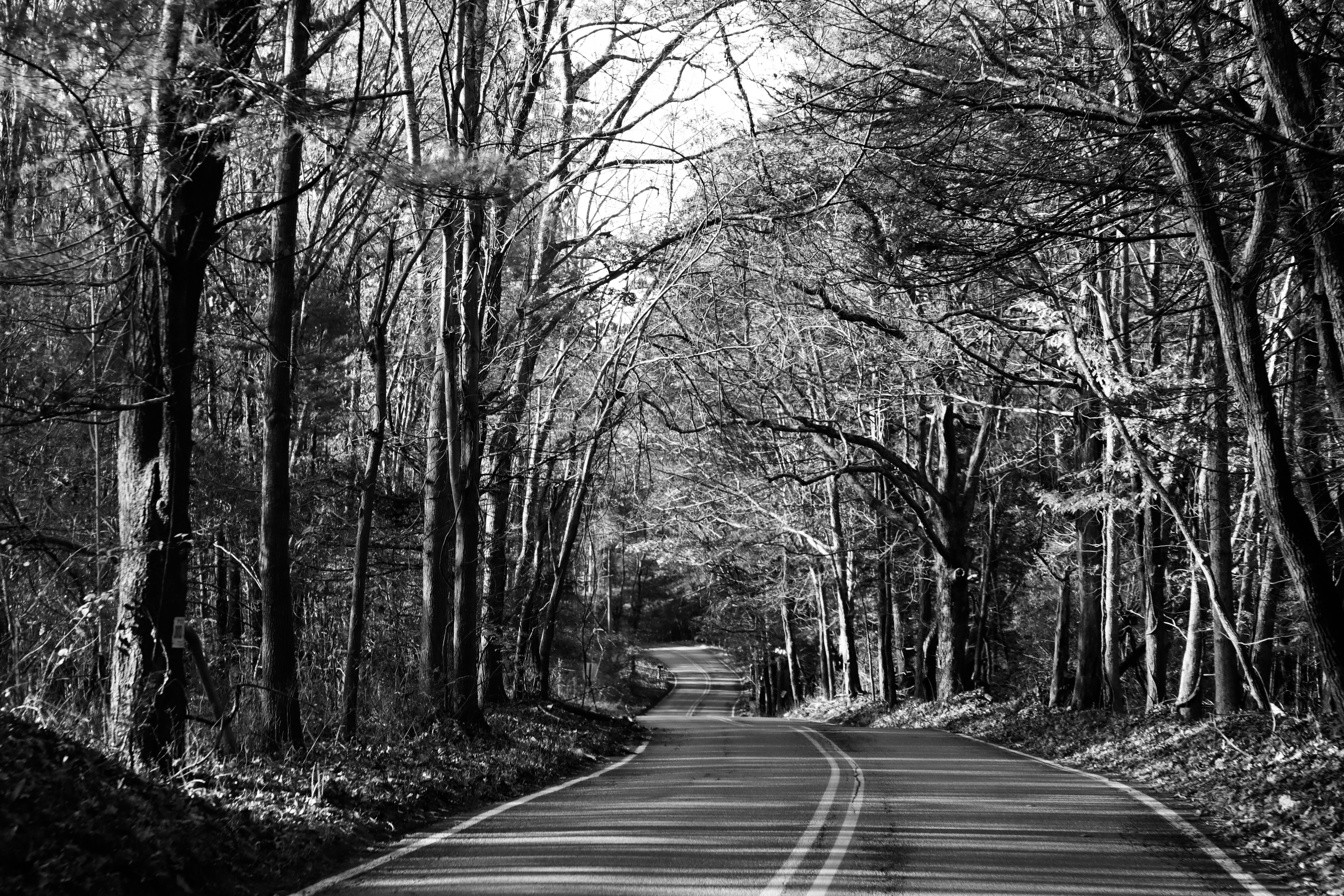 Photo by ucwhphotography