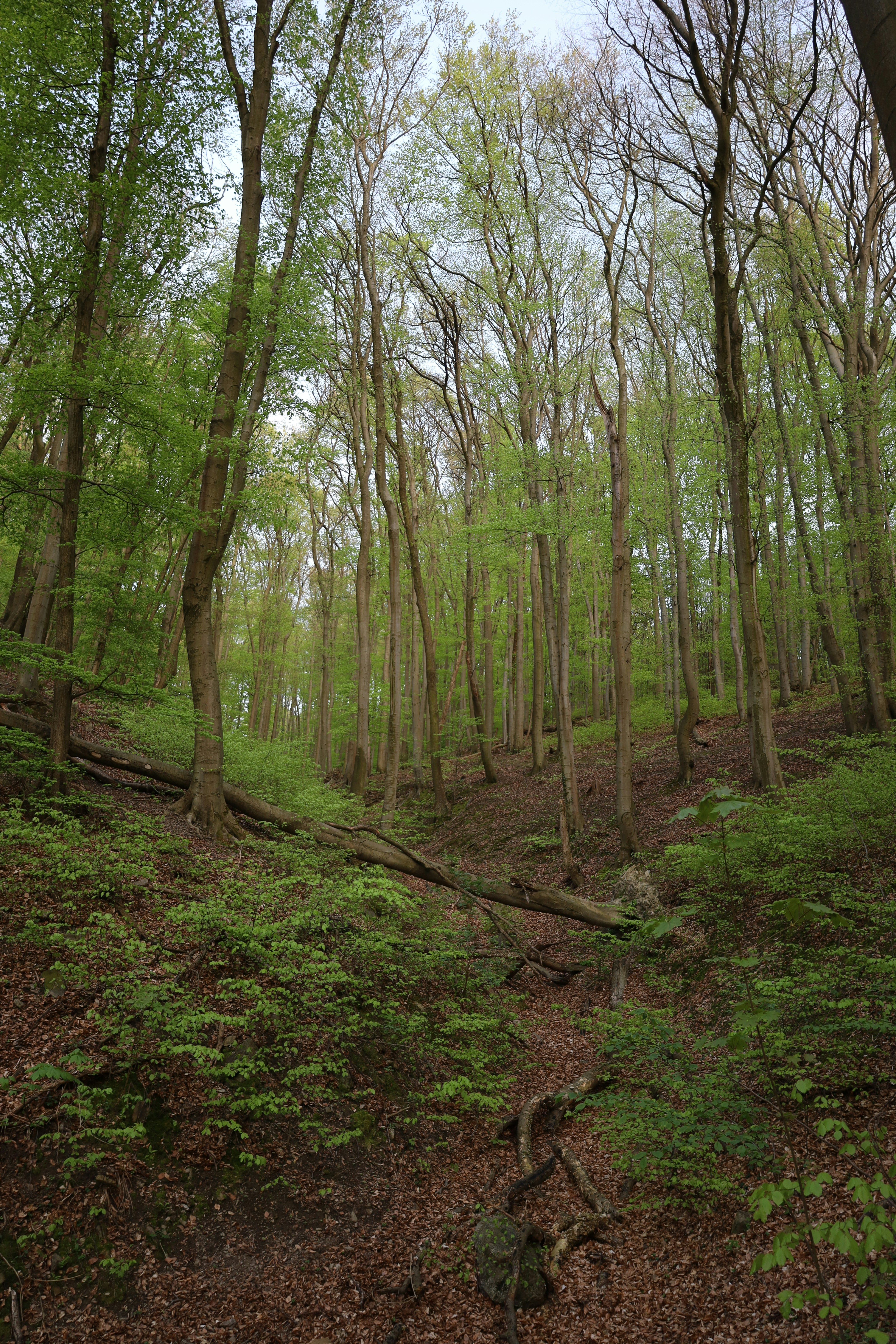 Photo by zuskas