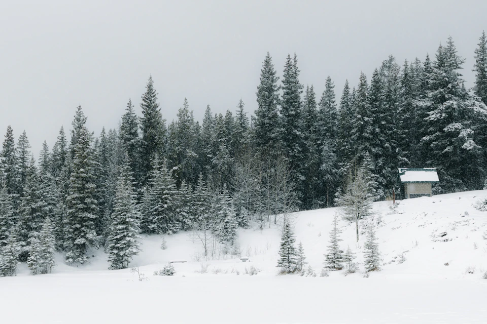 Serene winter scene with snow-covered forest and a small cabin in the distance