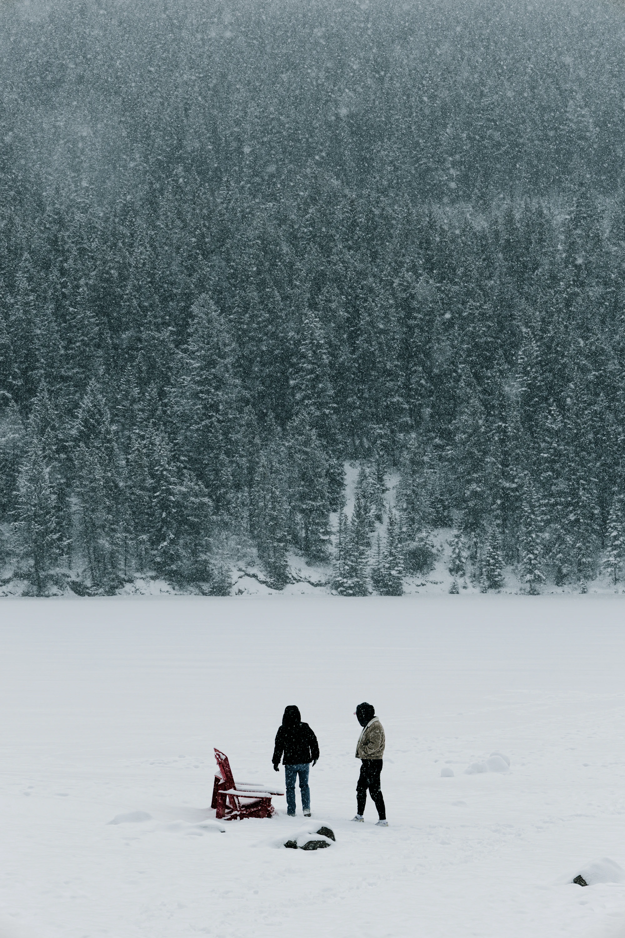 Two people on a snow-covered lake with forest behind