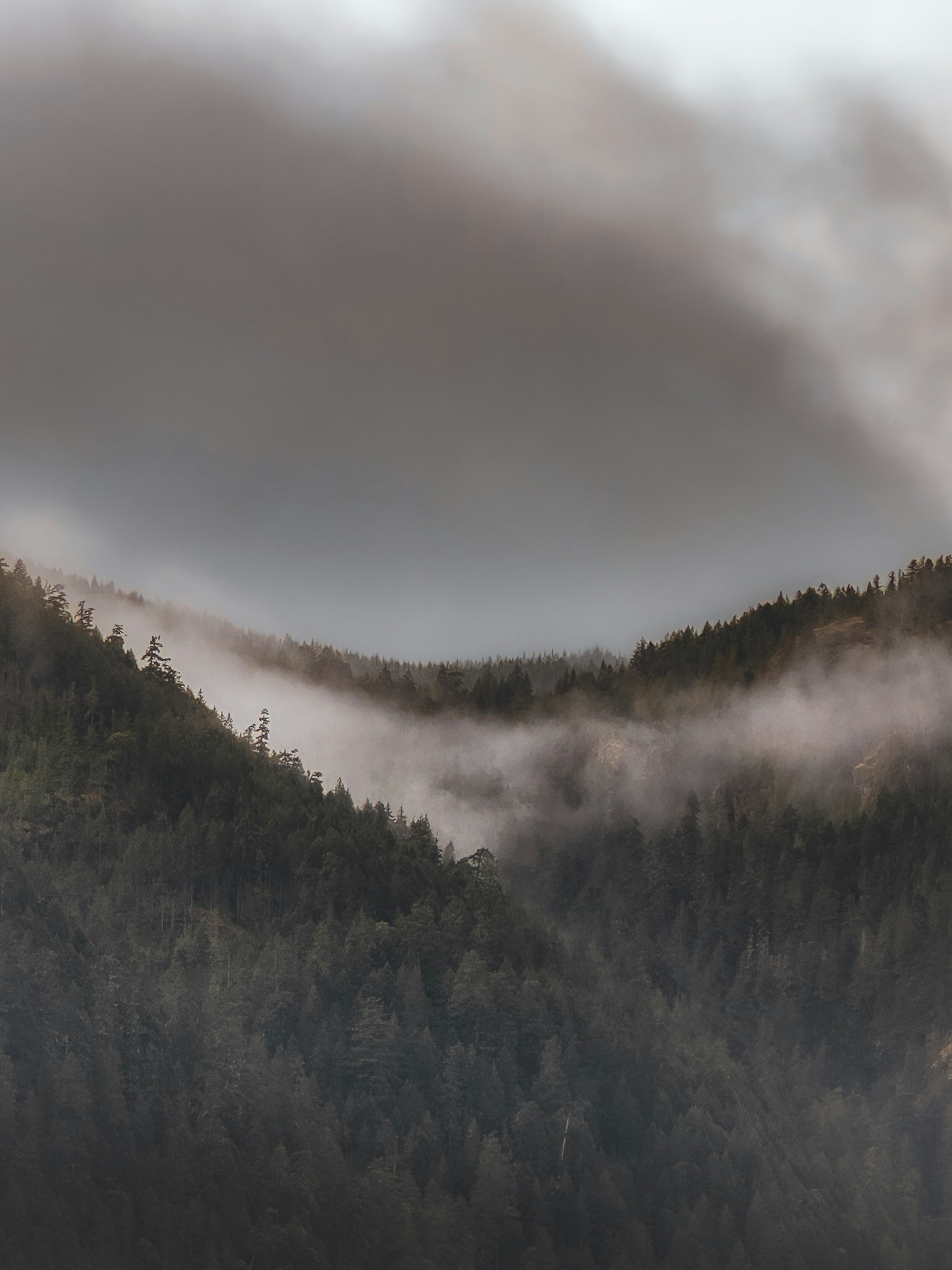 Photo by capturinginthewild