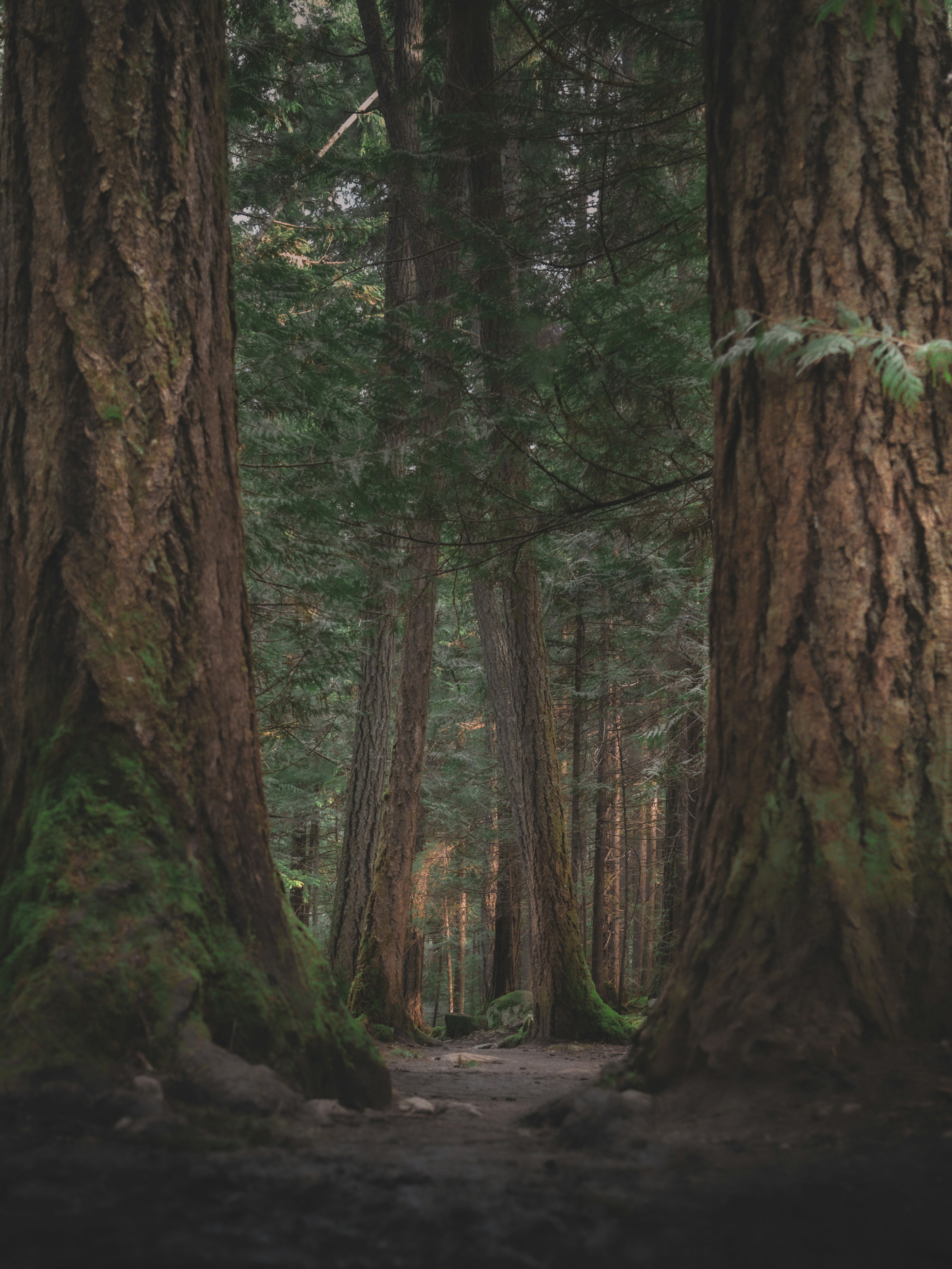 Photo by capturinginthewild