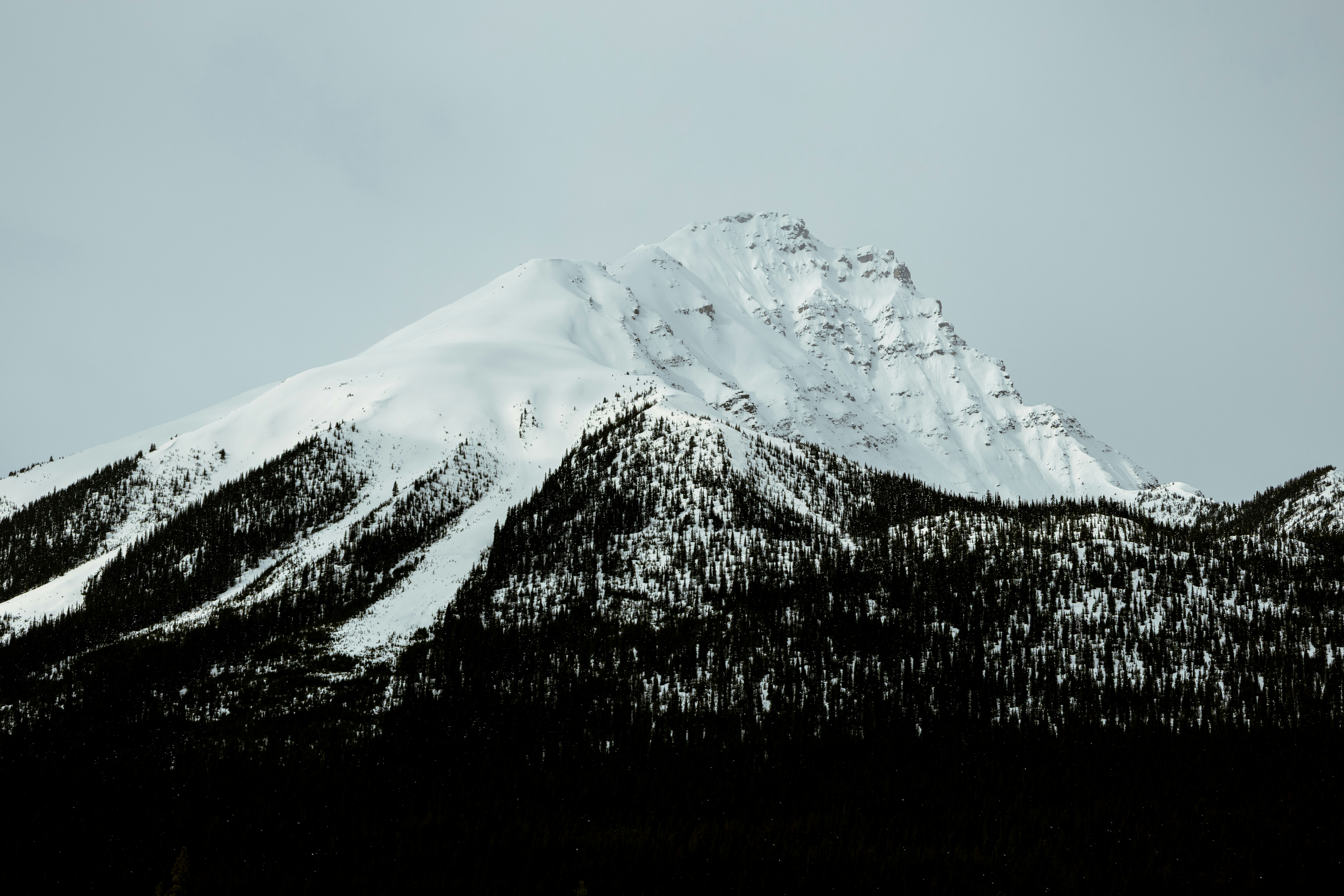 Photo by vincentyuan87