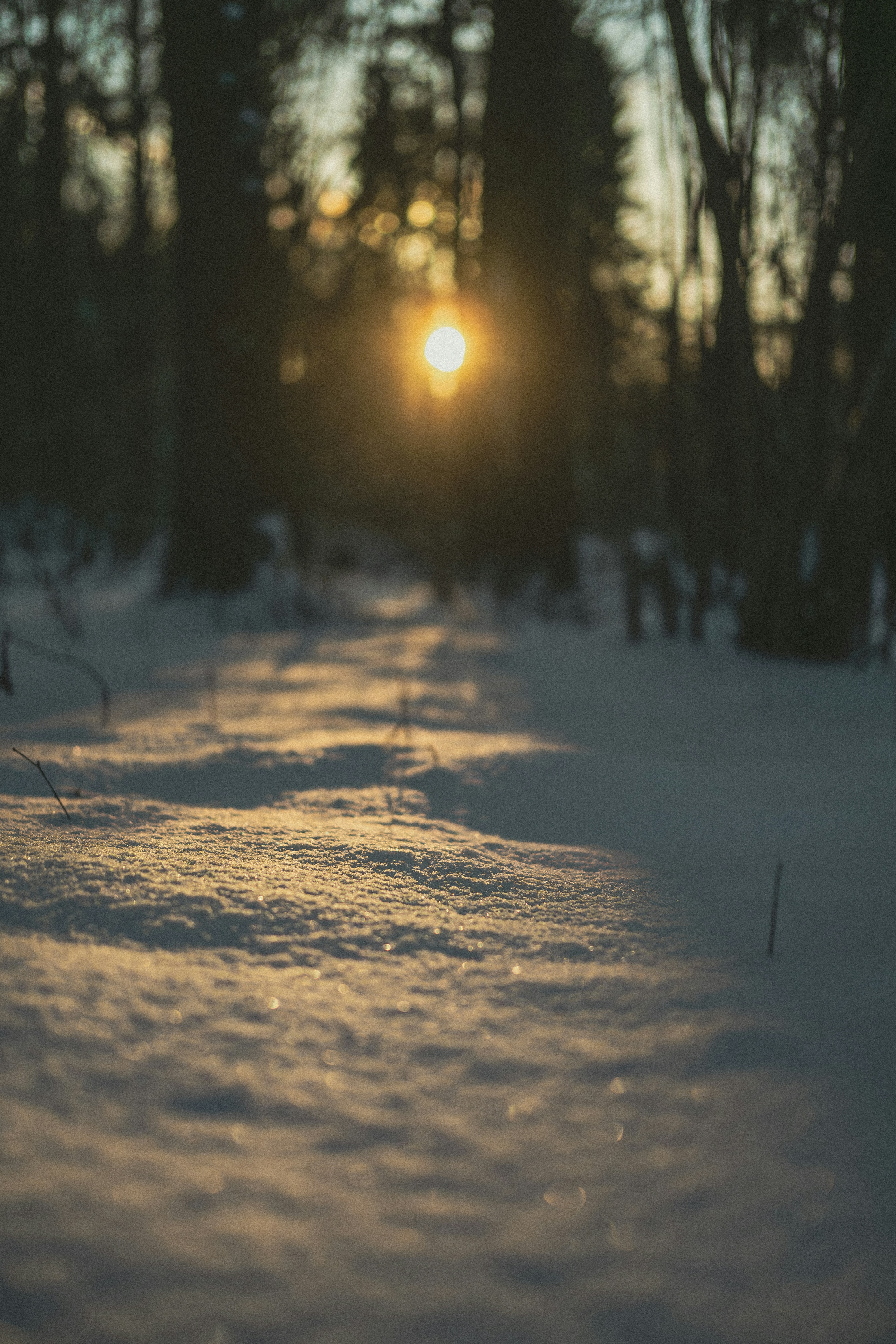 Photo by andrewws