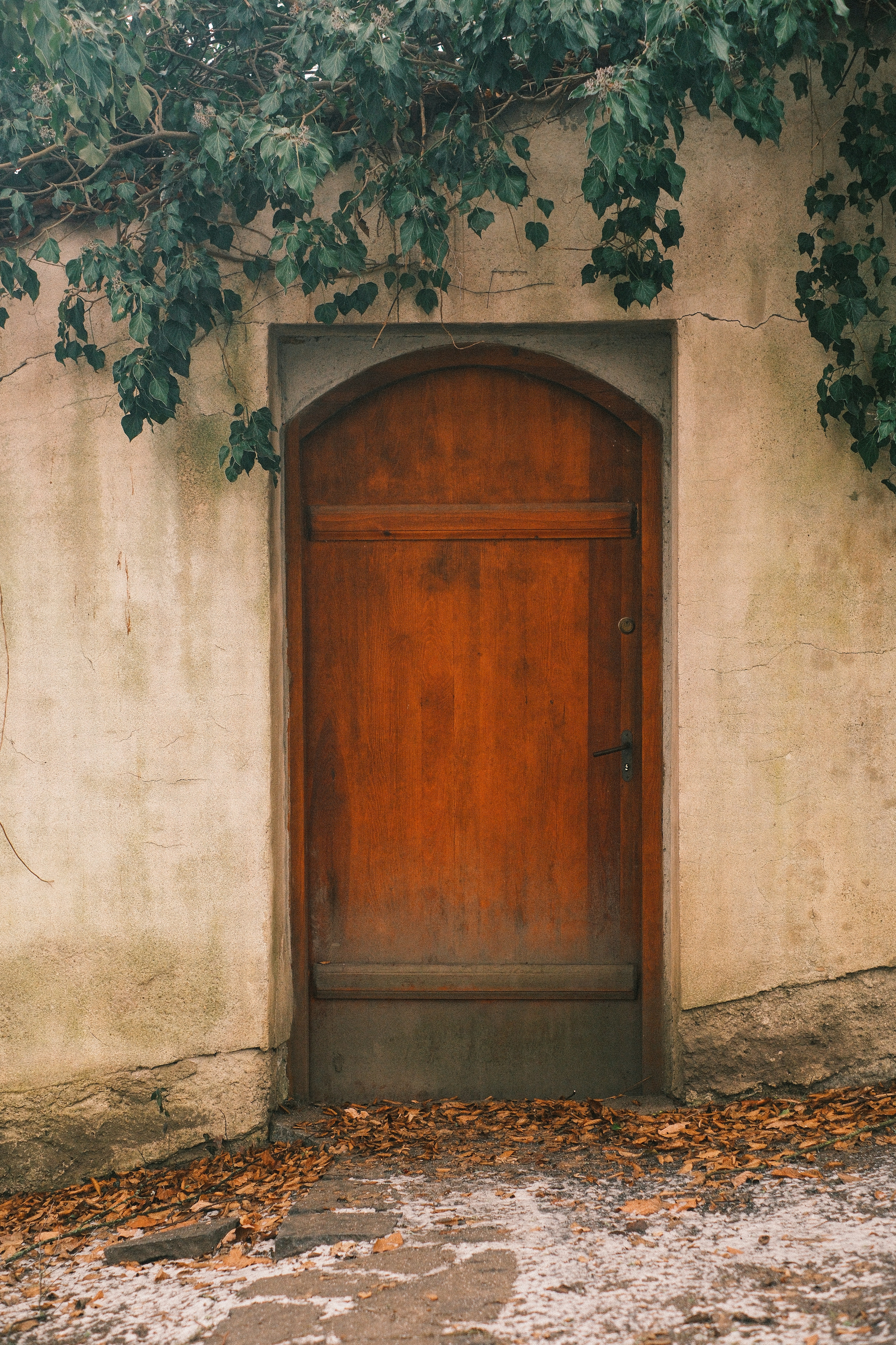 Photo by ginkgoshutter