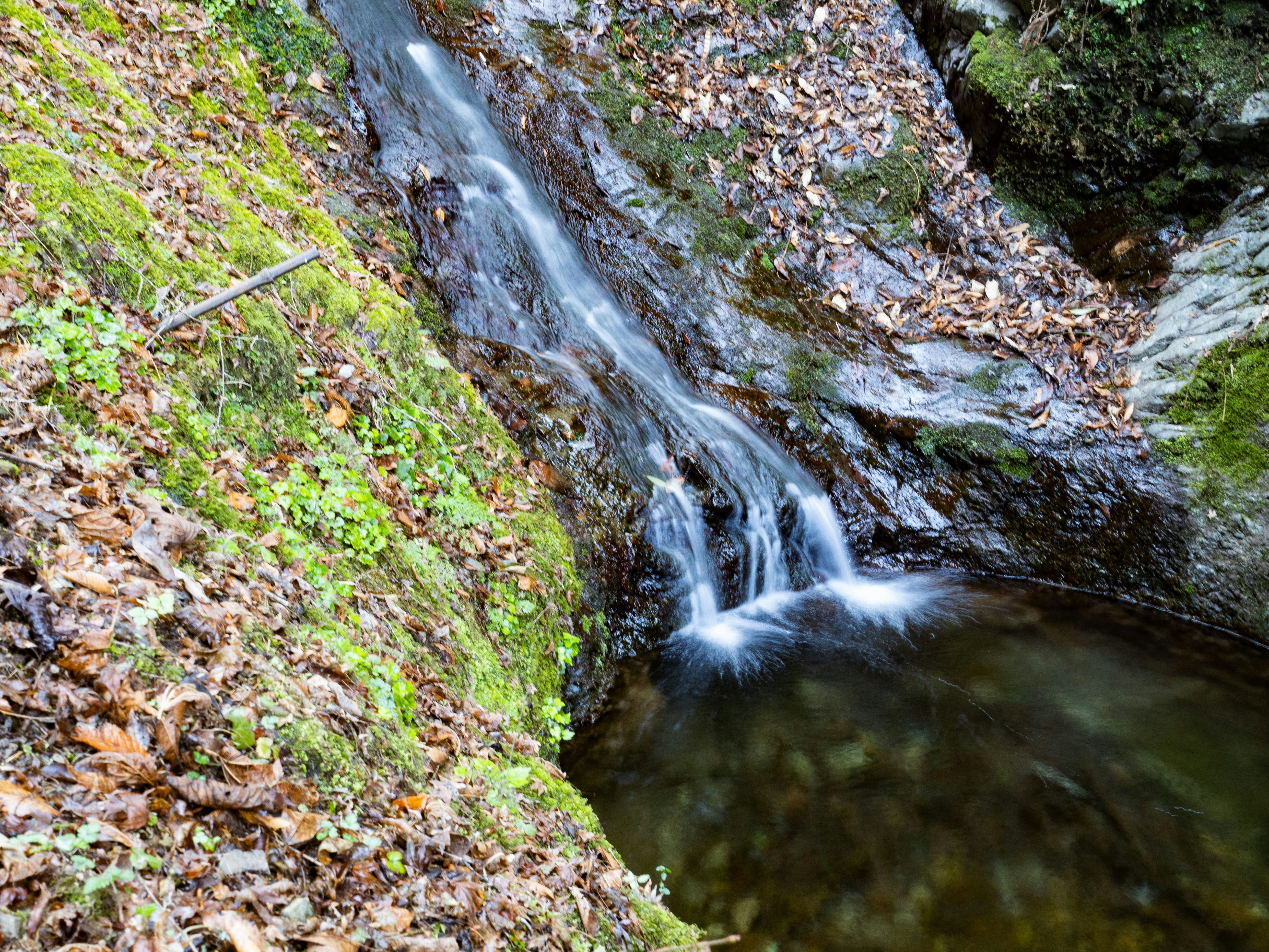 Photo by likesilkto