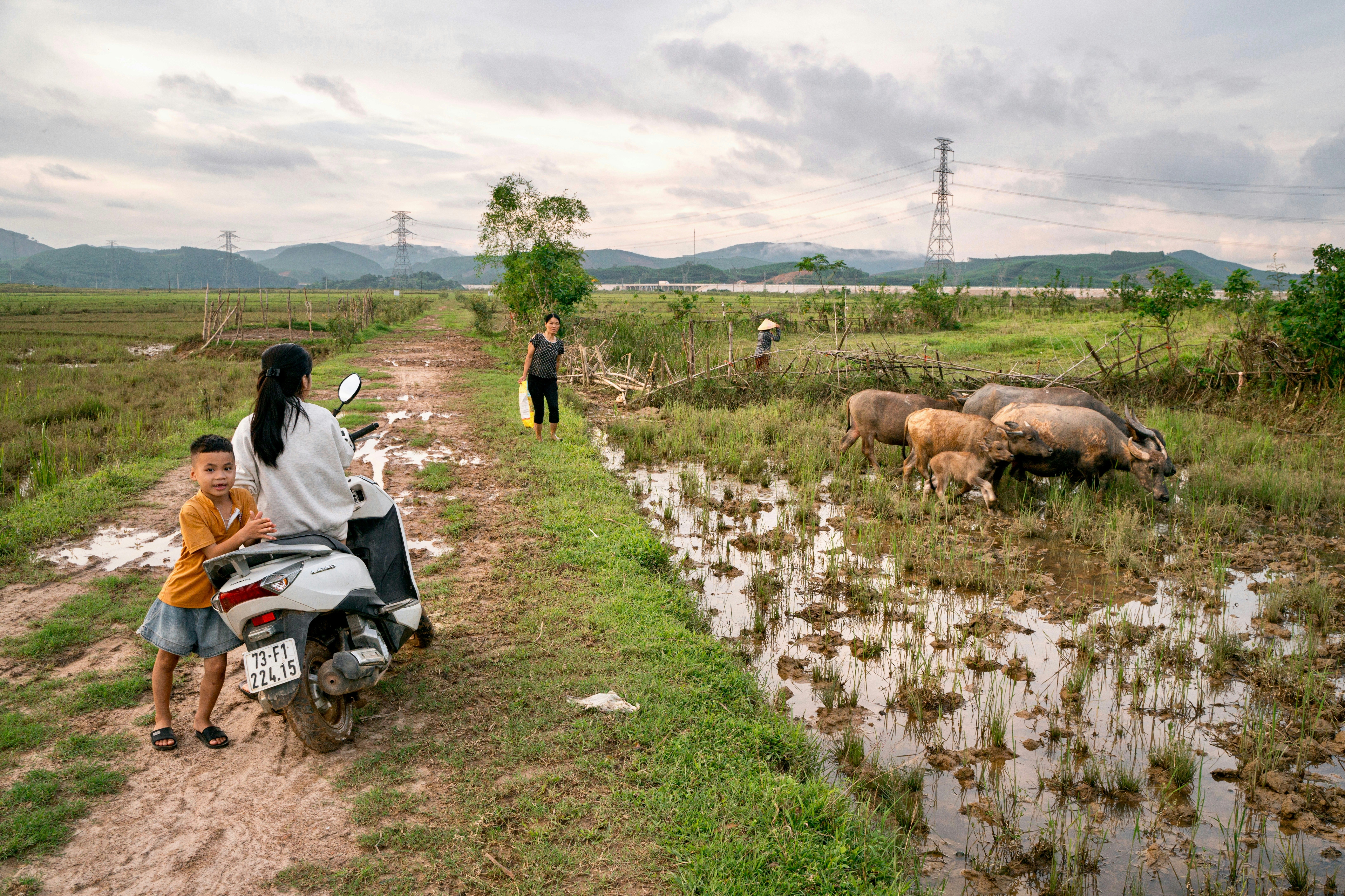 Family on a dirt road near a field with pigs