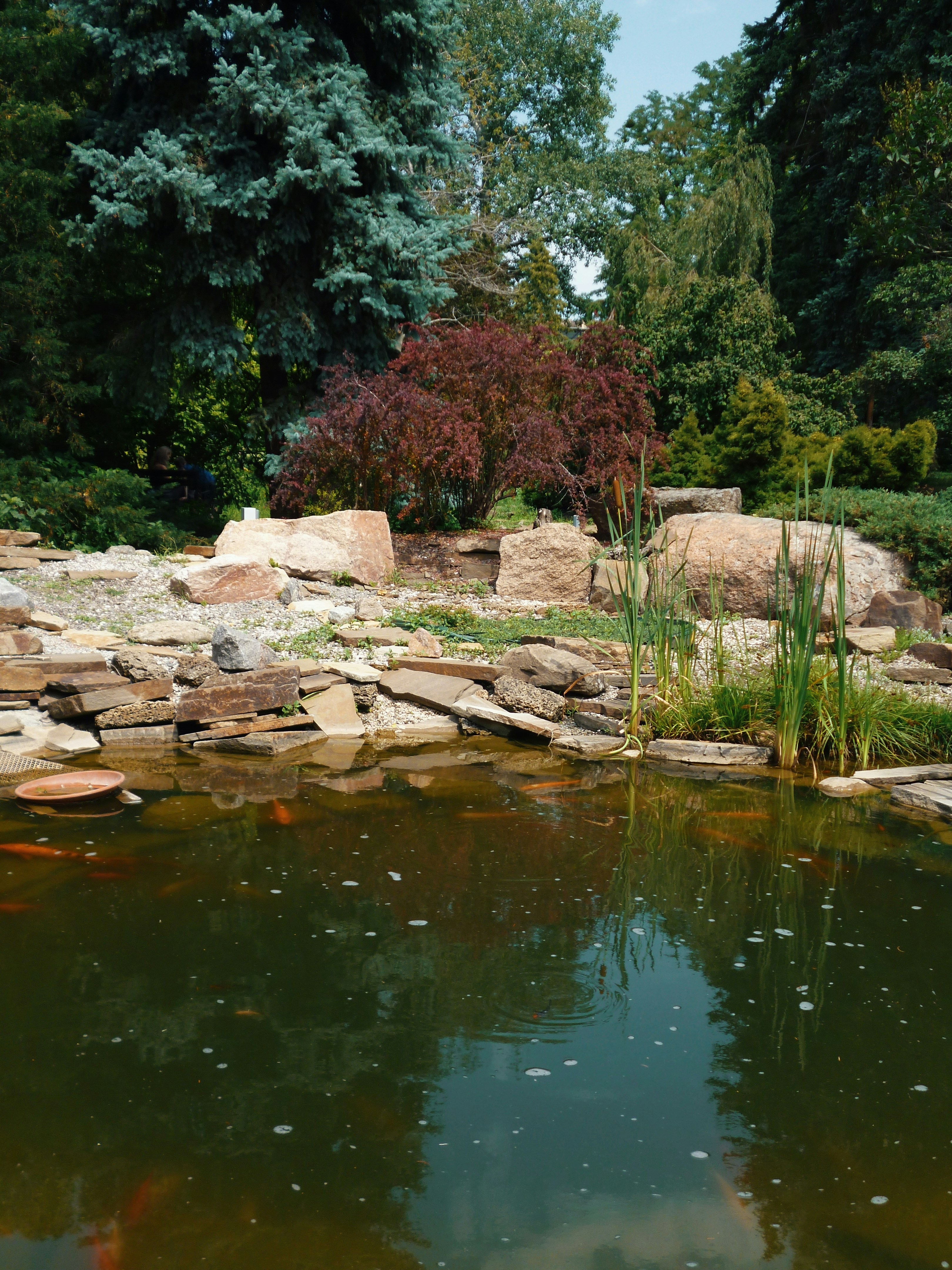 landscaping pool
