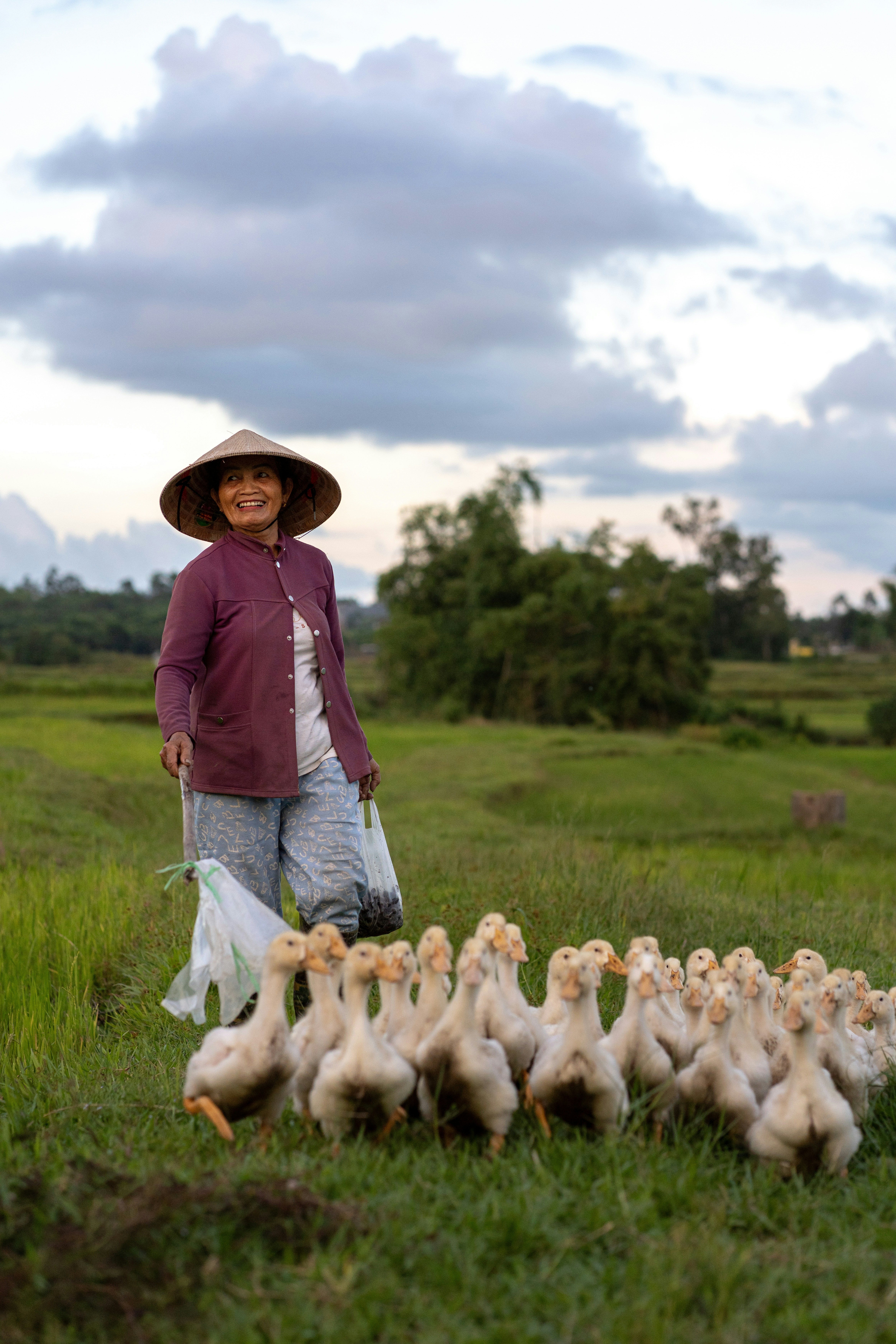 Woman in conical hat leads ducklings through a field