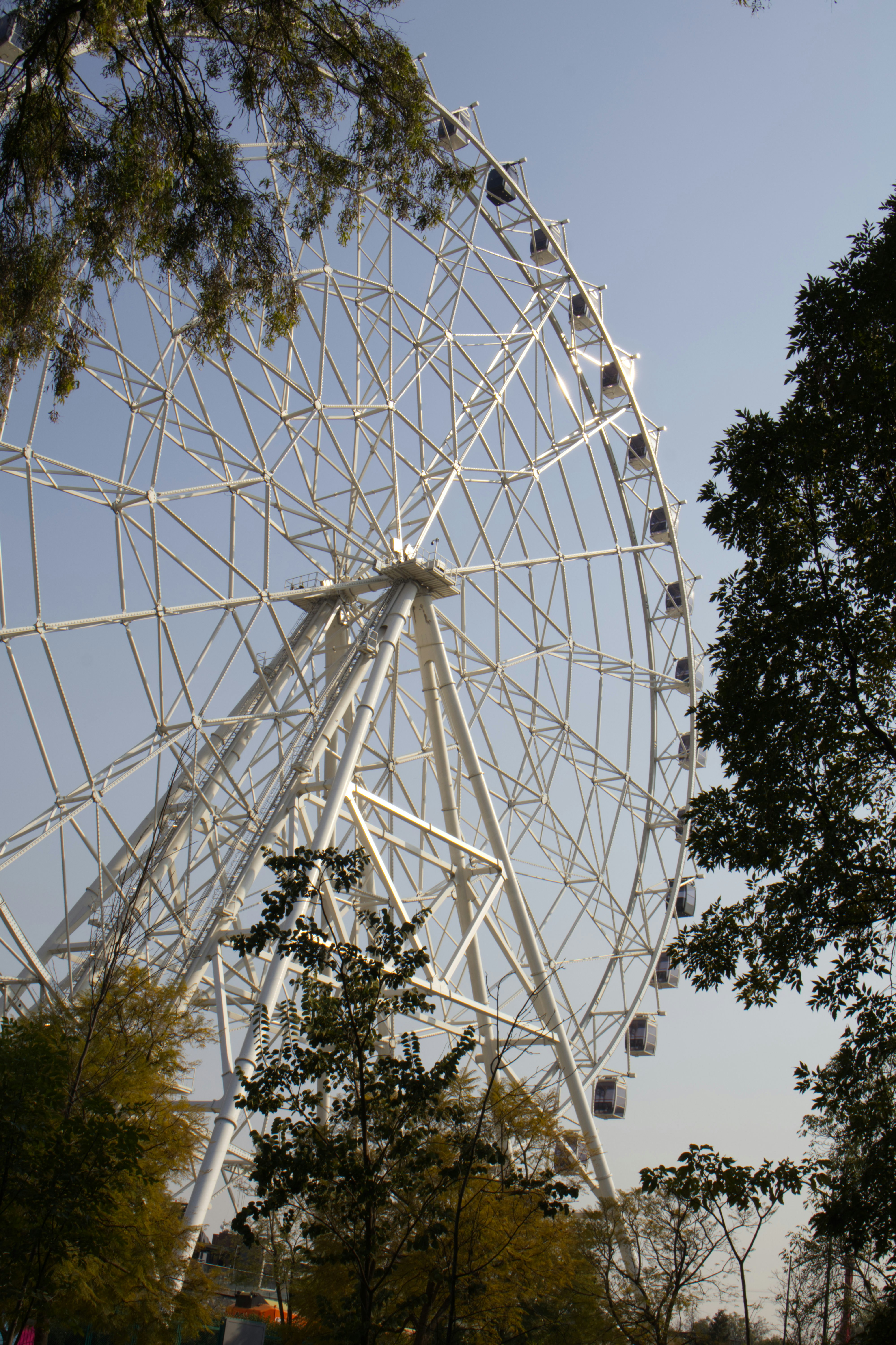A large white ferris wheel against a clear sky