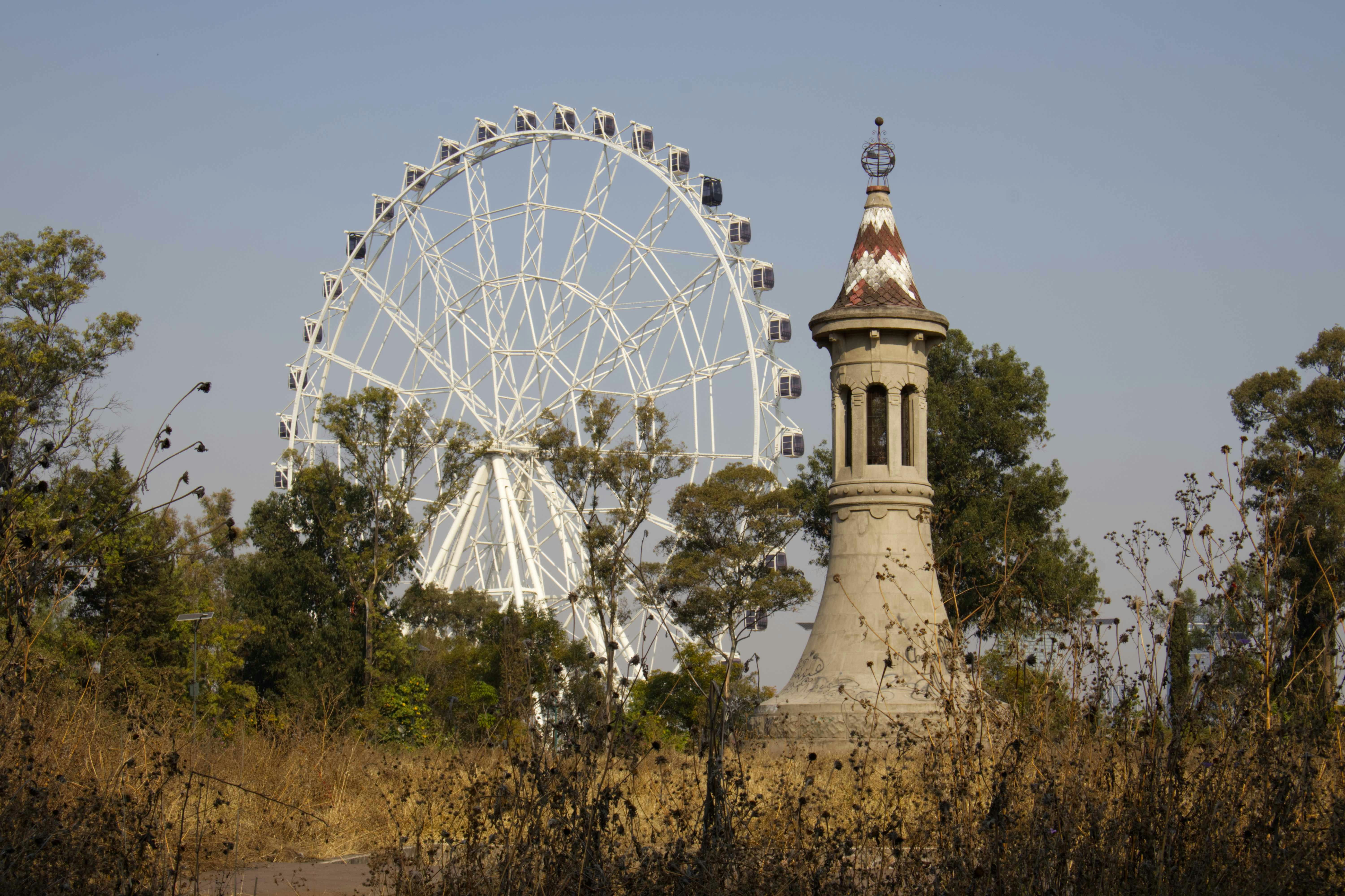 Ferris wheel and old tower with trees
