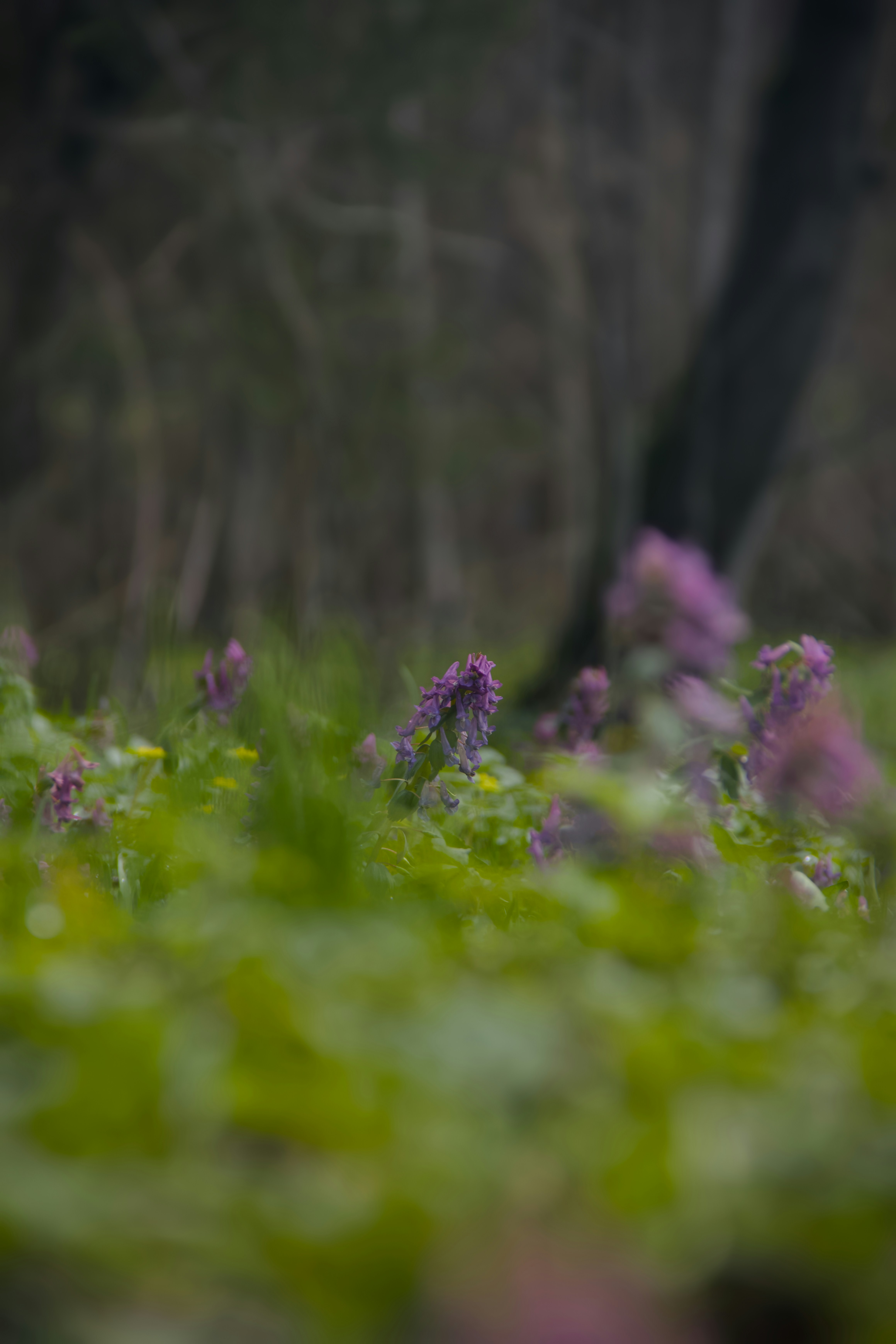 Photo by mihmihfoto