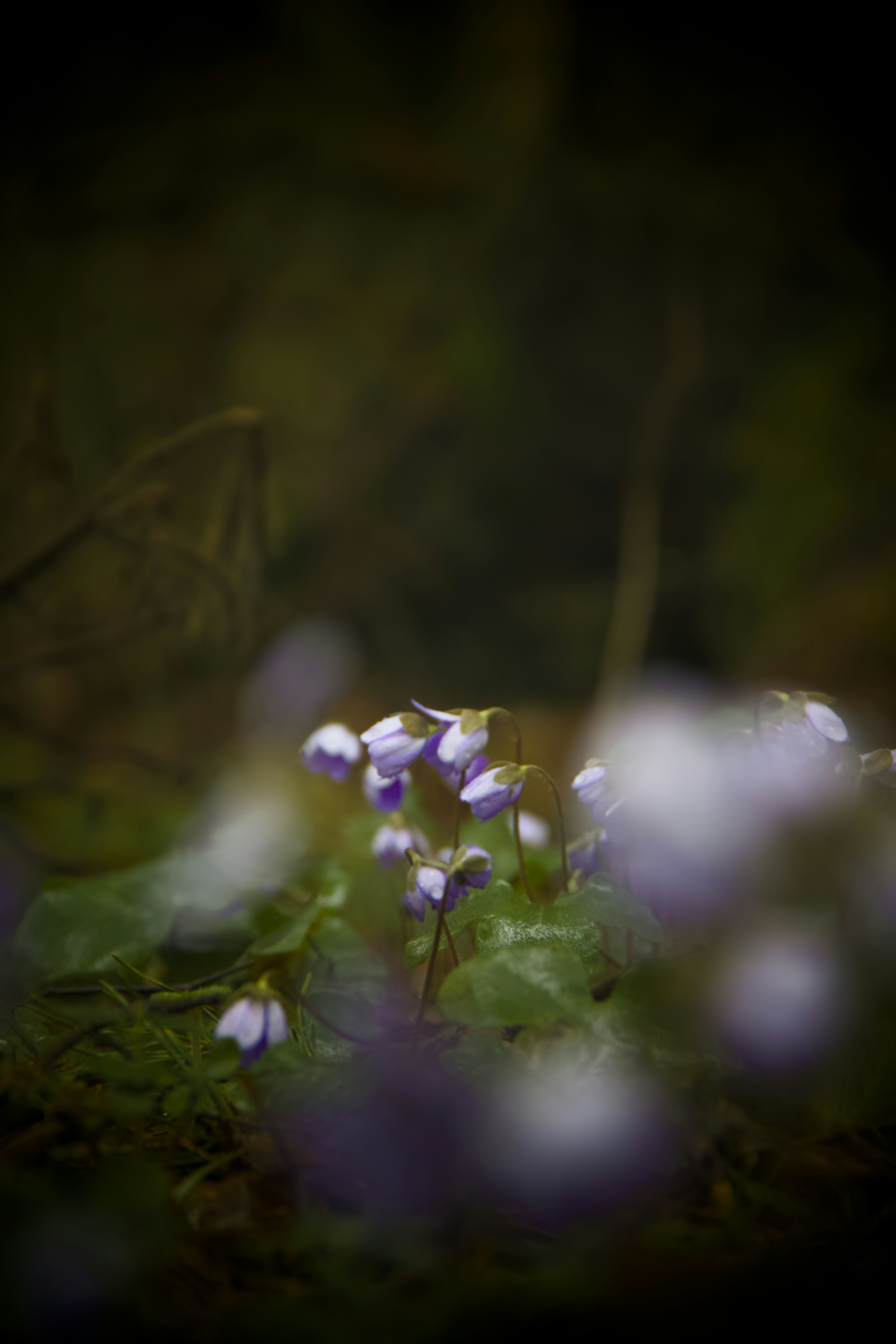 Photo by mihmihfoto