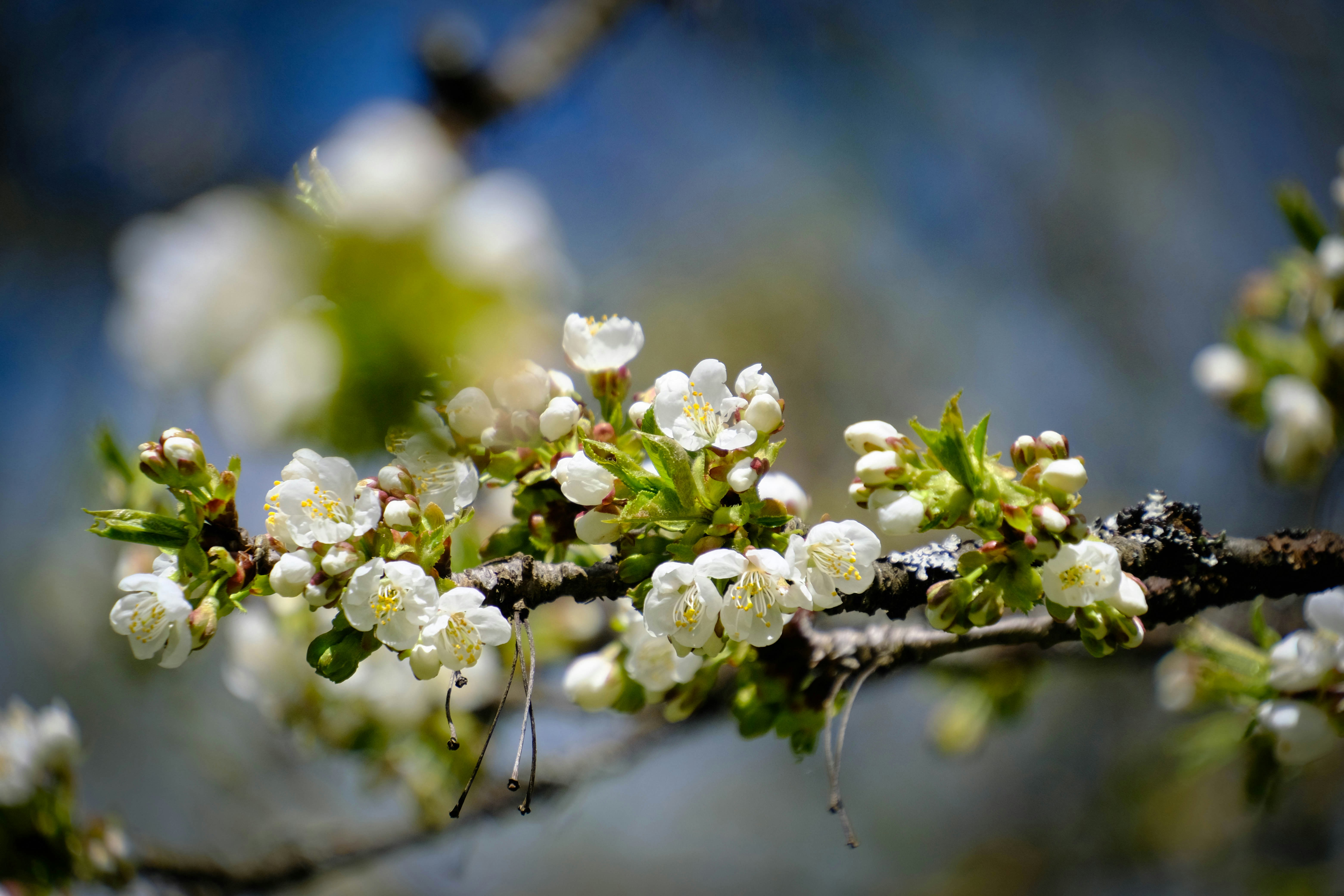 Photo by noemiszasz