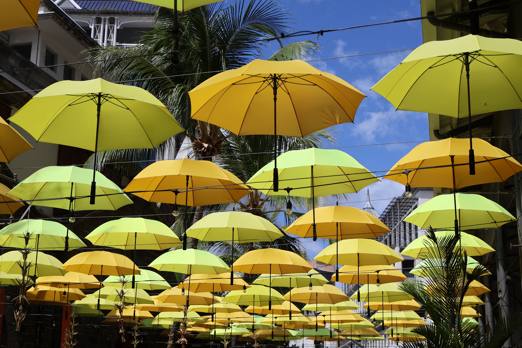 Yellow and green umbrellas suspended over a shaded pedestrian street in Port Louis