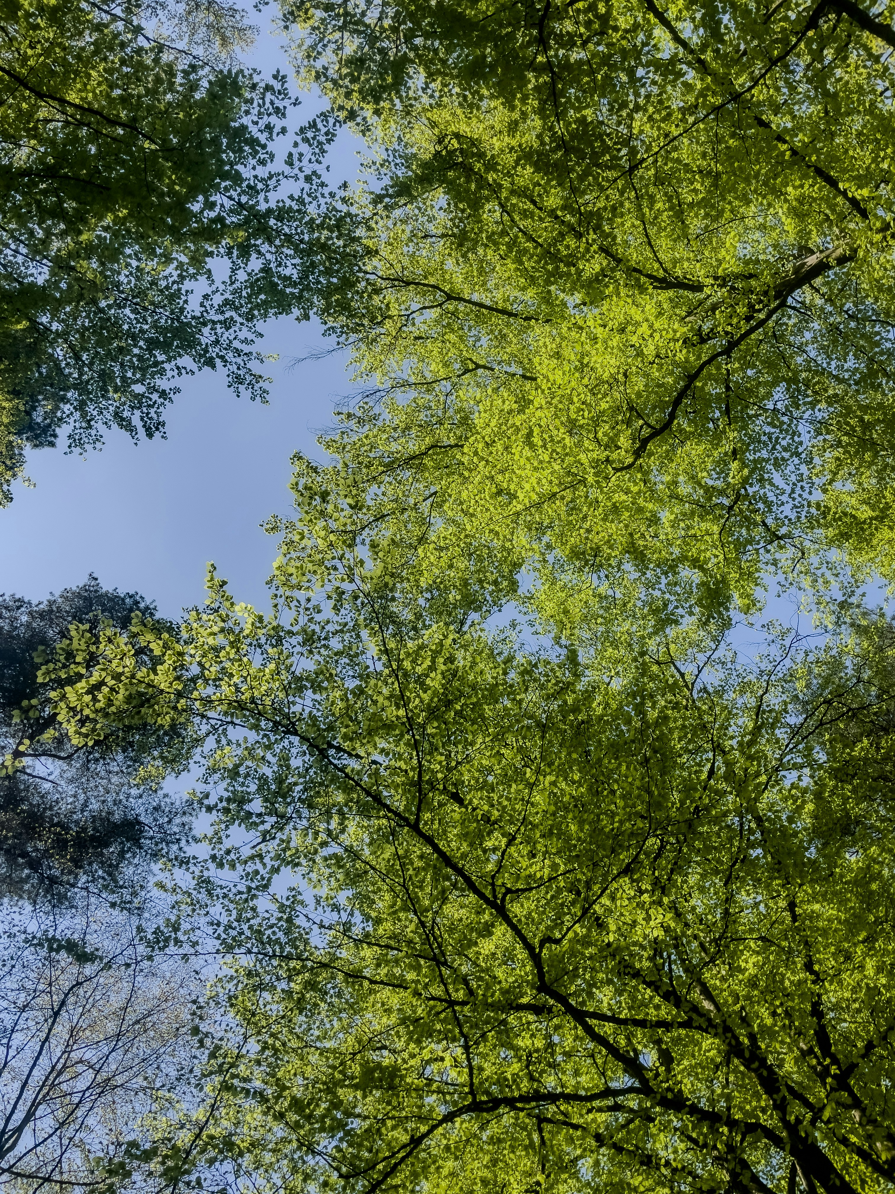Photo by hdbernd