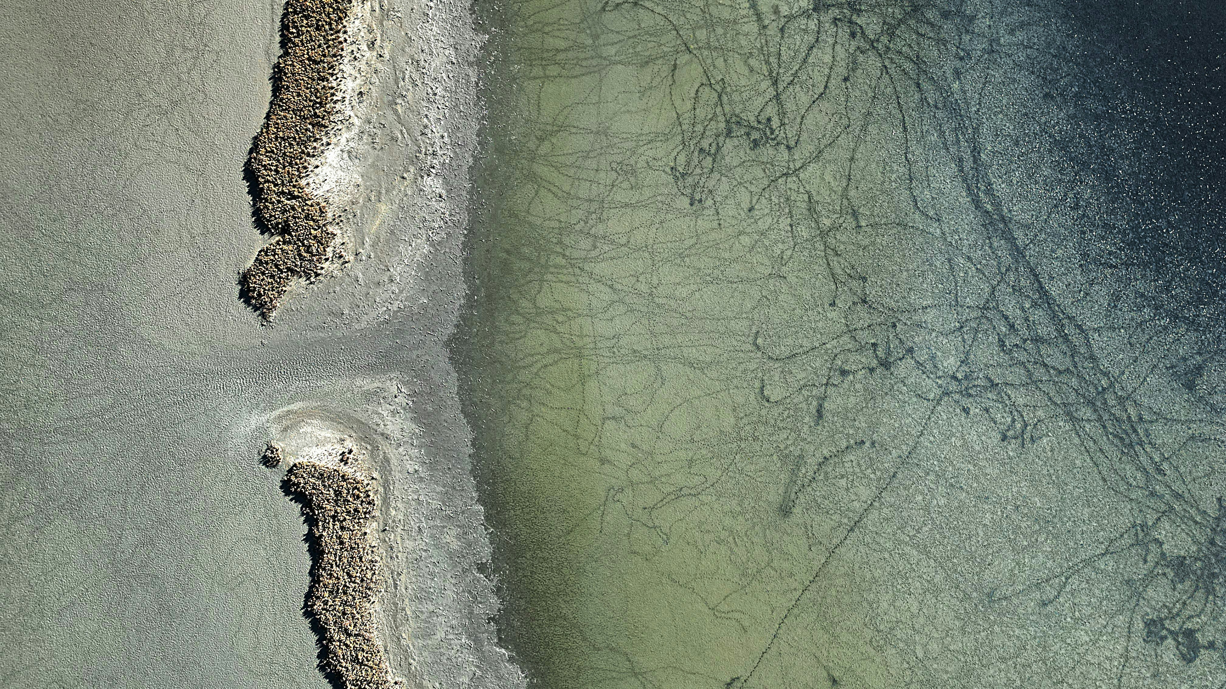 Understanding The Safety And Security Of Refractive Lens Exchange Is Essential; Uncover Expert-Backed Insights That Might Influence Your Vision Choices. What Will You Find Out?
