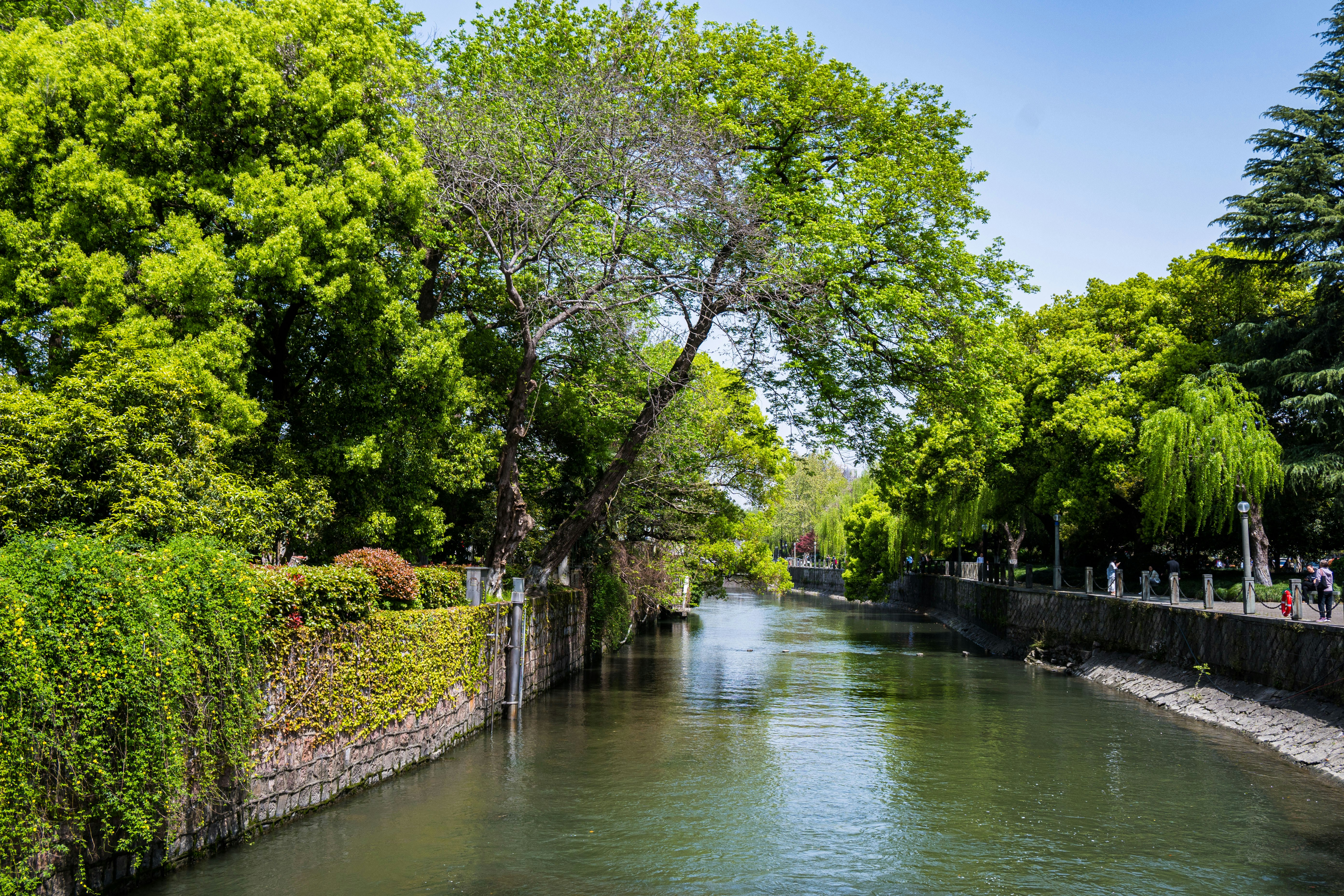 A calm river flows through a lush green park.