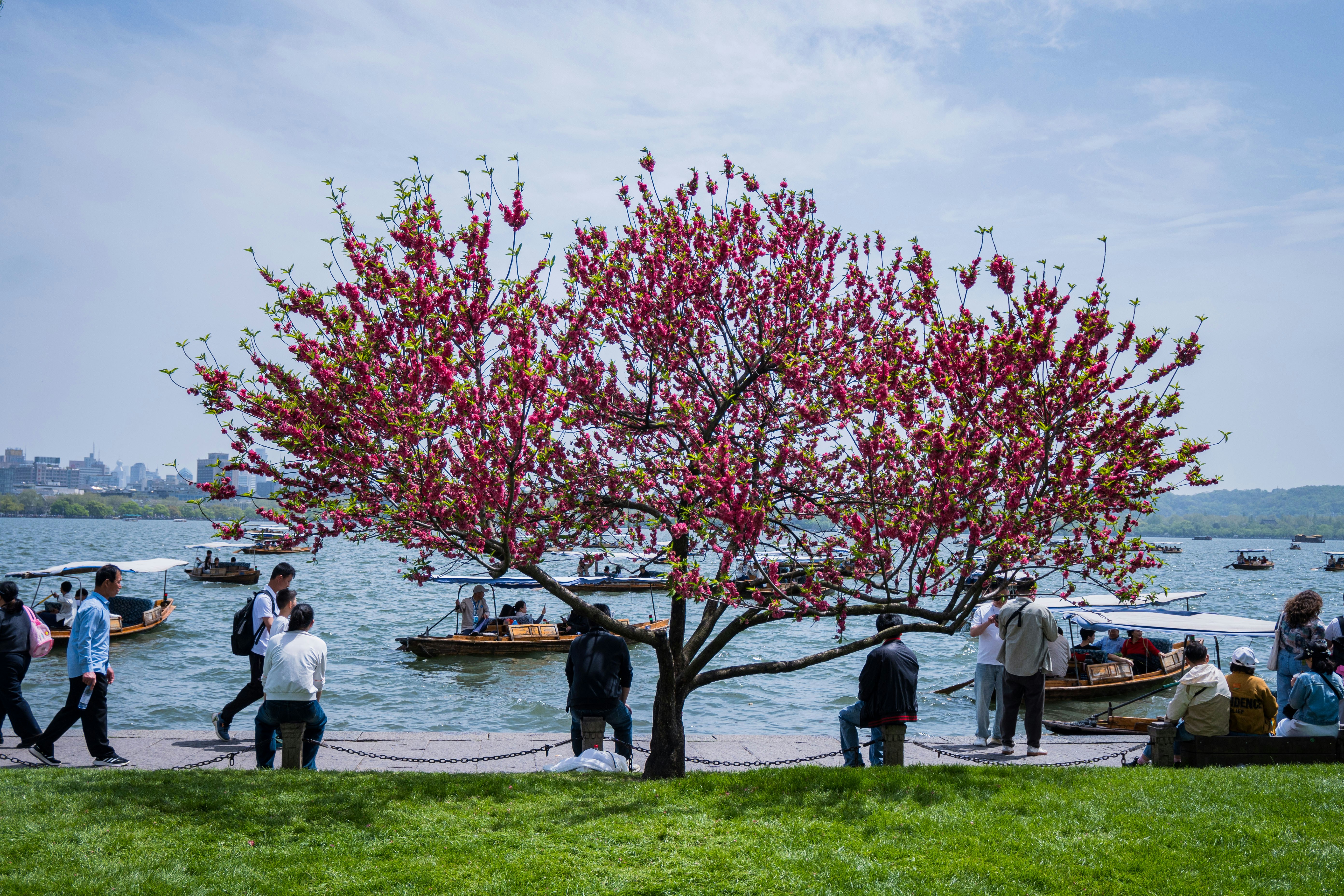 People enjoy a park with boats on the water.