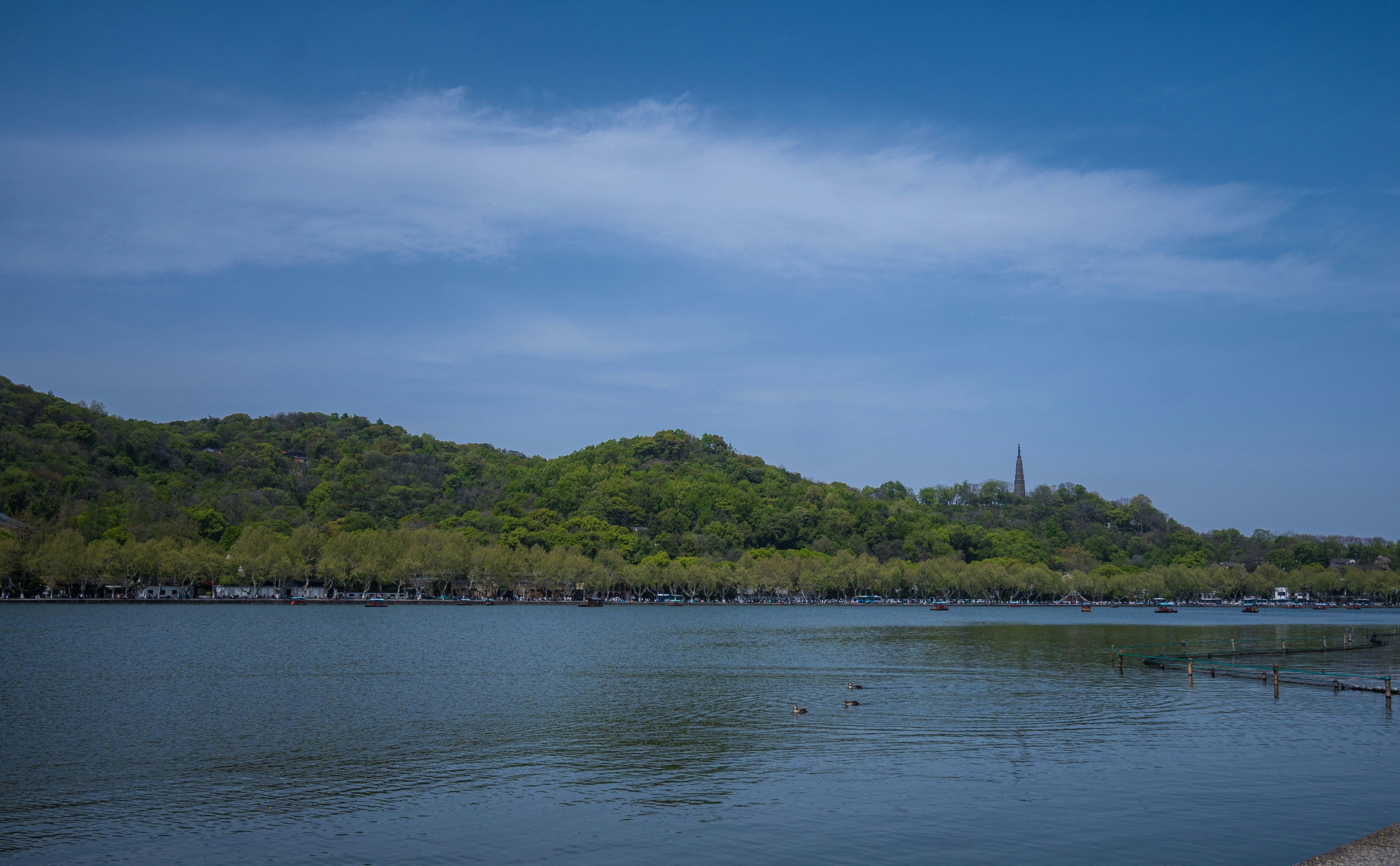 Green forested hills meet calm blue water under sky.